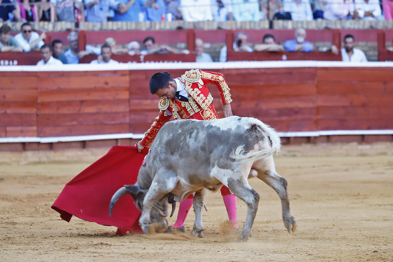 COLOMBINAS 2023: Festejo del miércoles de la Feria Taurina