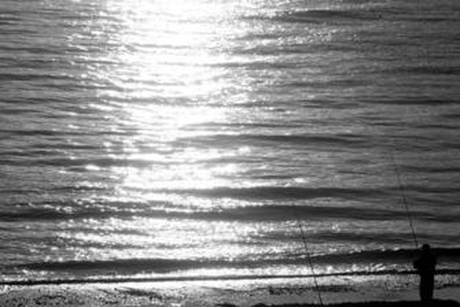 De pesca al amanecer