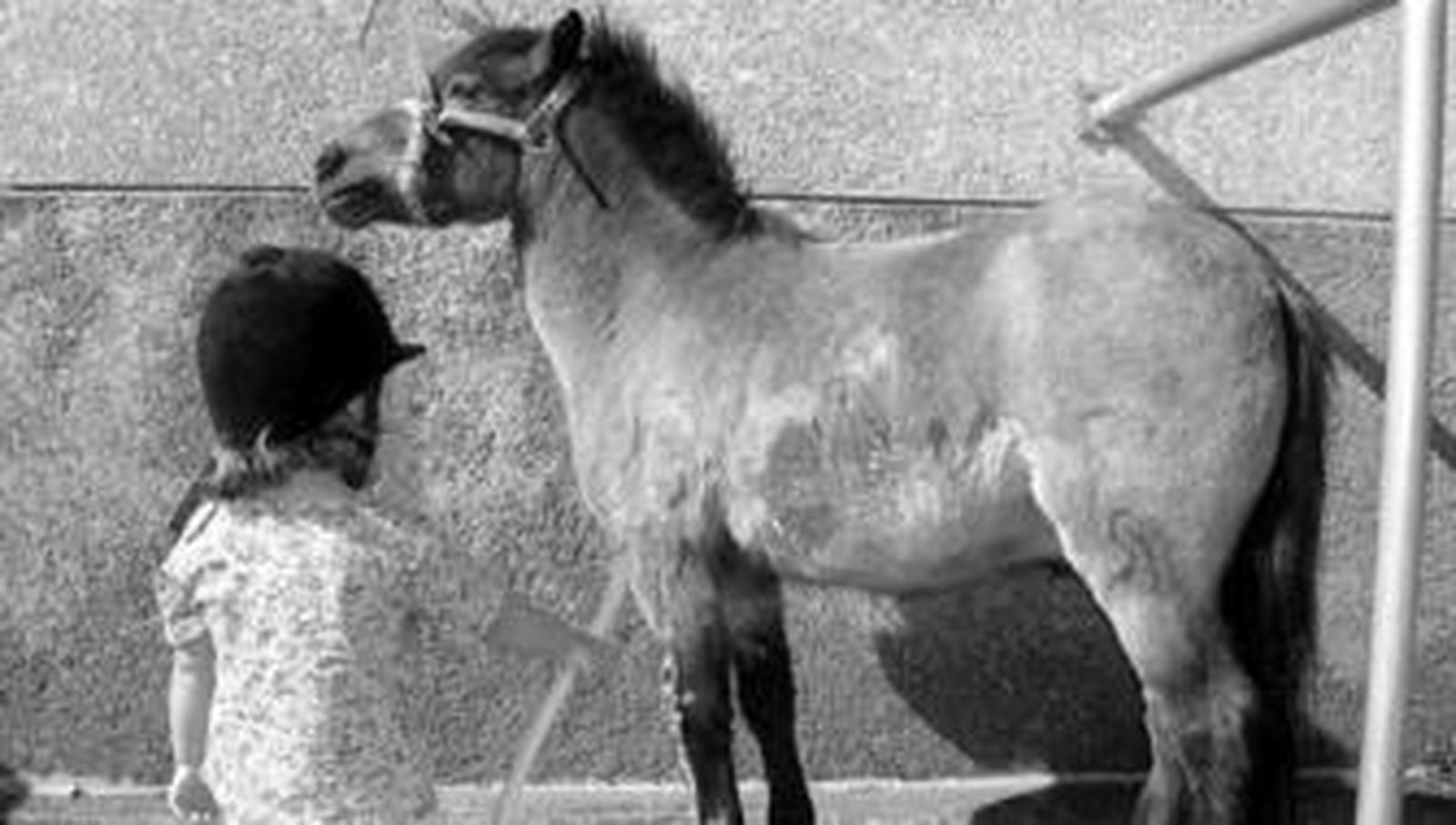 Una joven alumna del centro integral de enseñanzas hípicas 'El Juncal' ducando a un pony.