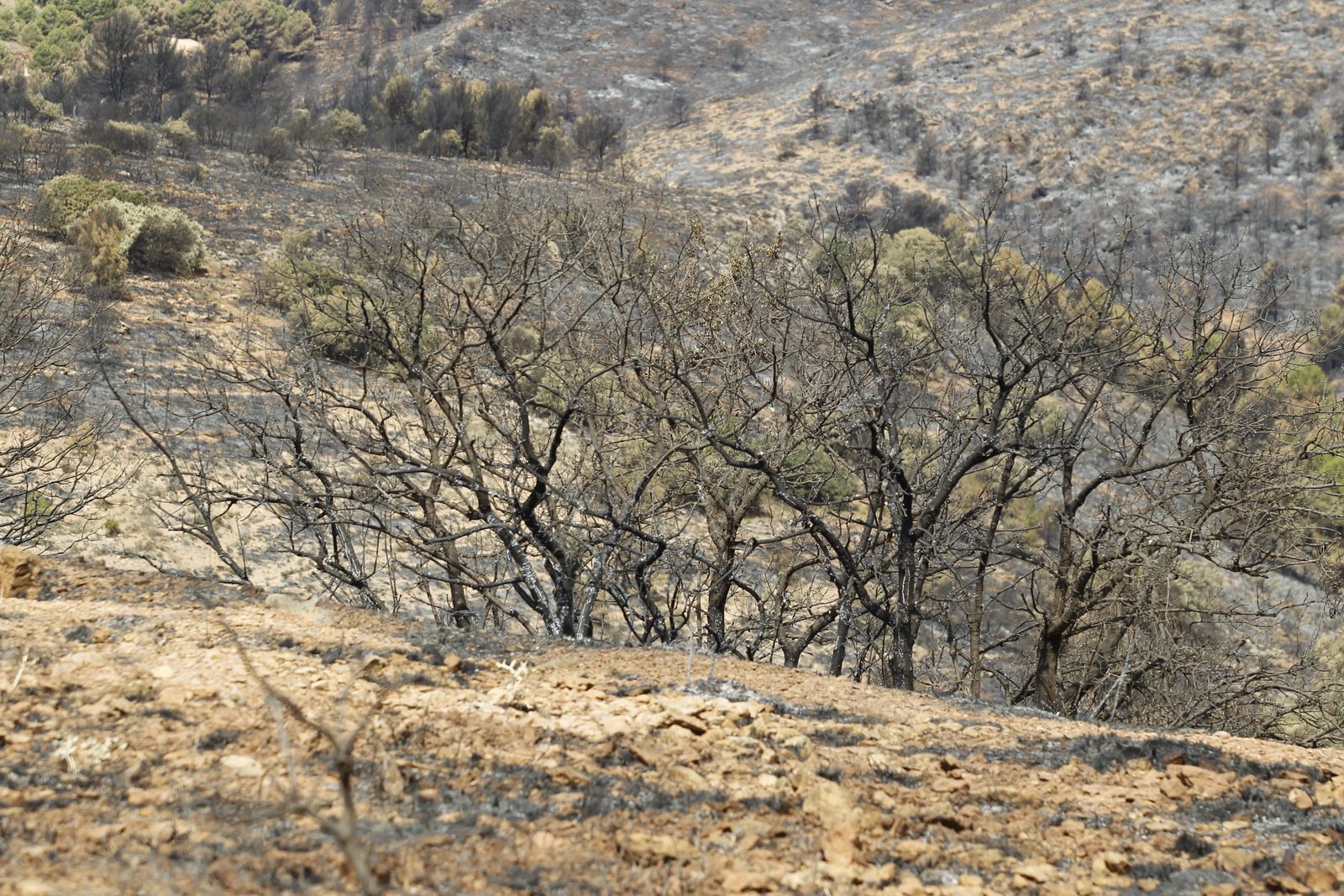 Fotogalería incendio extinguido Sierra de Gádor