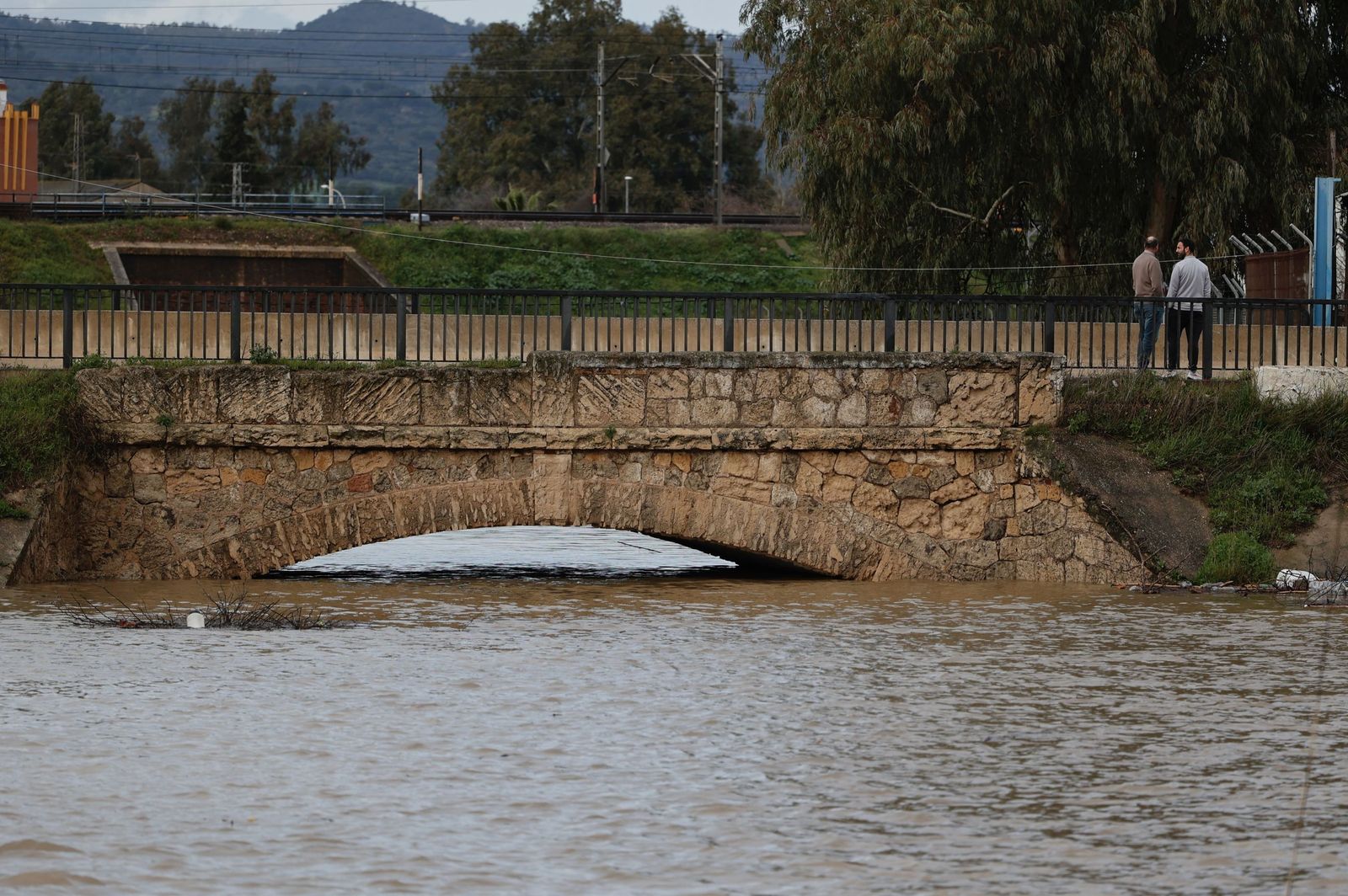 Las fotos de la crecida del río Guadalquivir en Lora del Río por la borrasca Leonardo