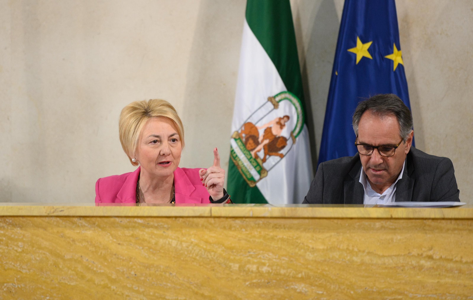 Eloísa Cabrera, consejera delegada de Almería XXI y concejal de Urbanismo, en el Pleno.