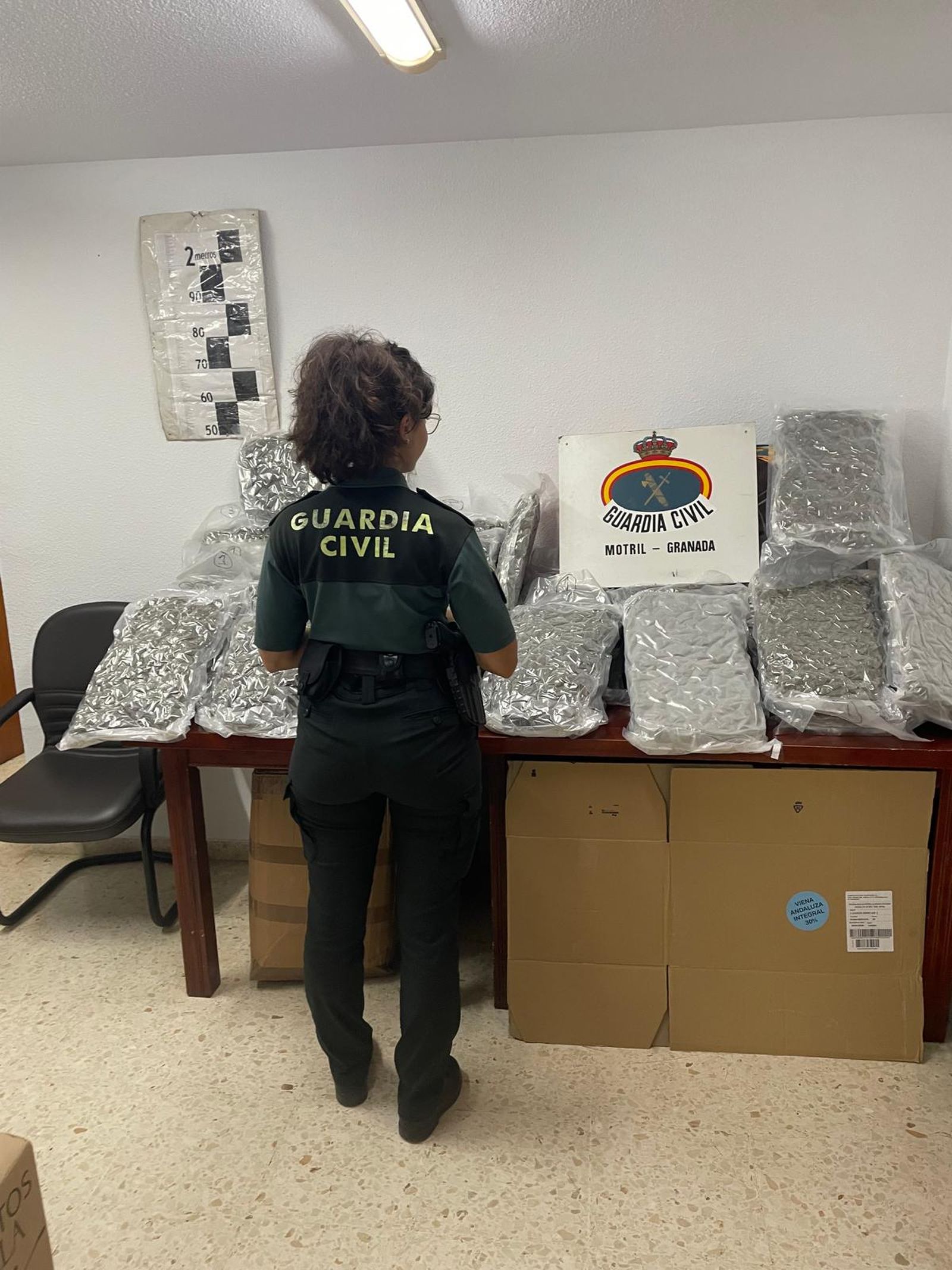Una agente junto a la droga incautada en la operación.