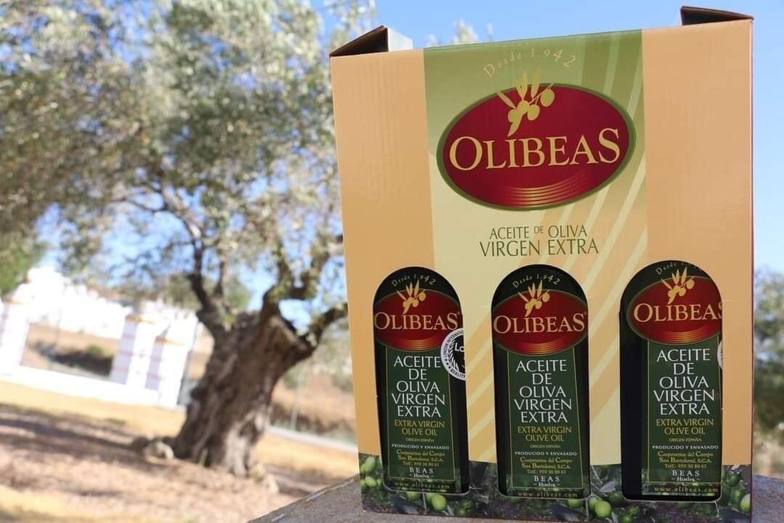 ¿Quieres ganar un lote con tres botellas del mejor aceite de Huelva?
