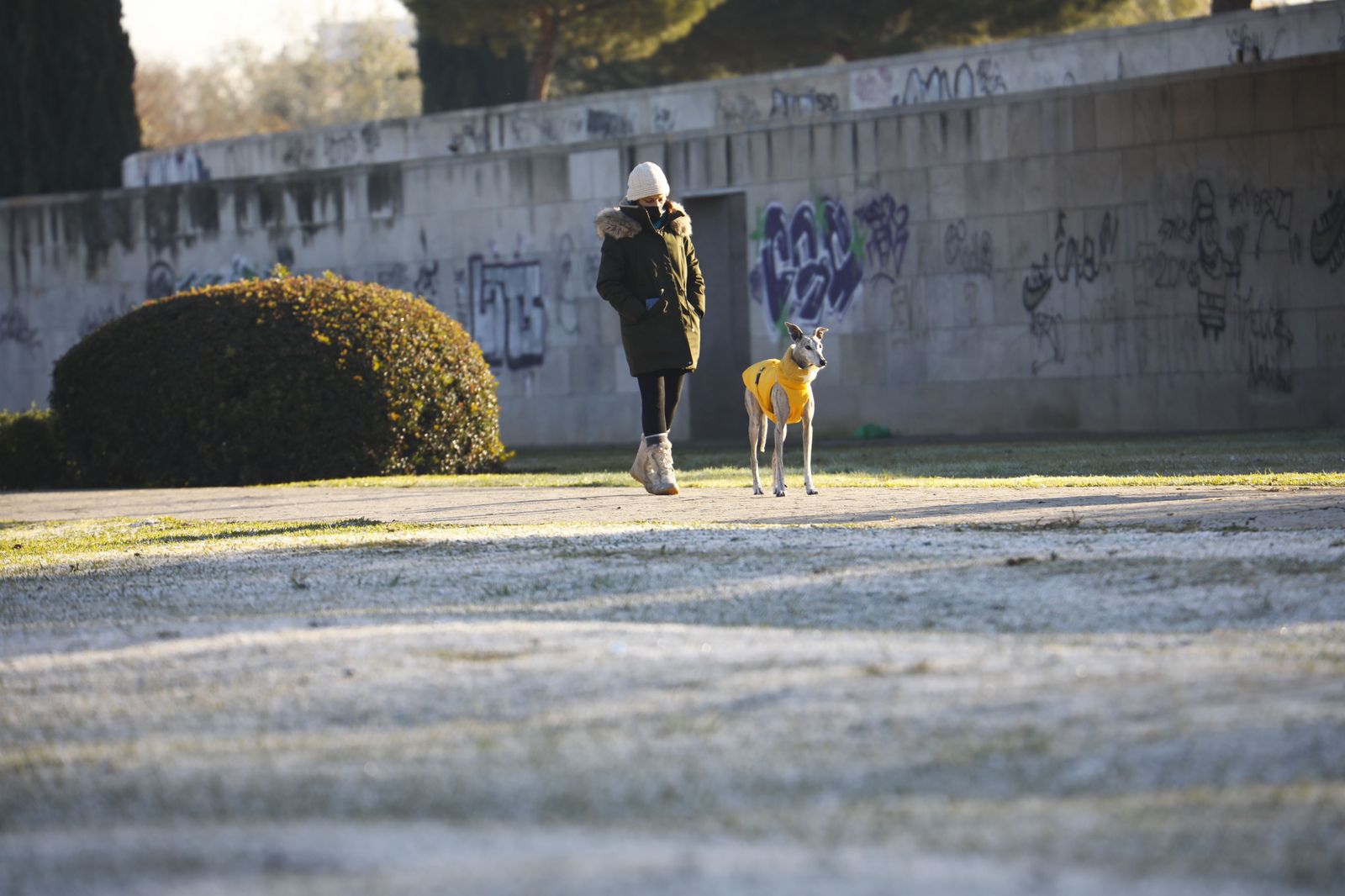 La ola de frío en Córdoba, en fotografías