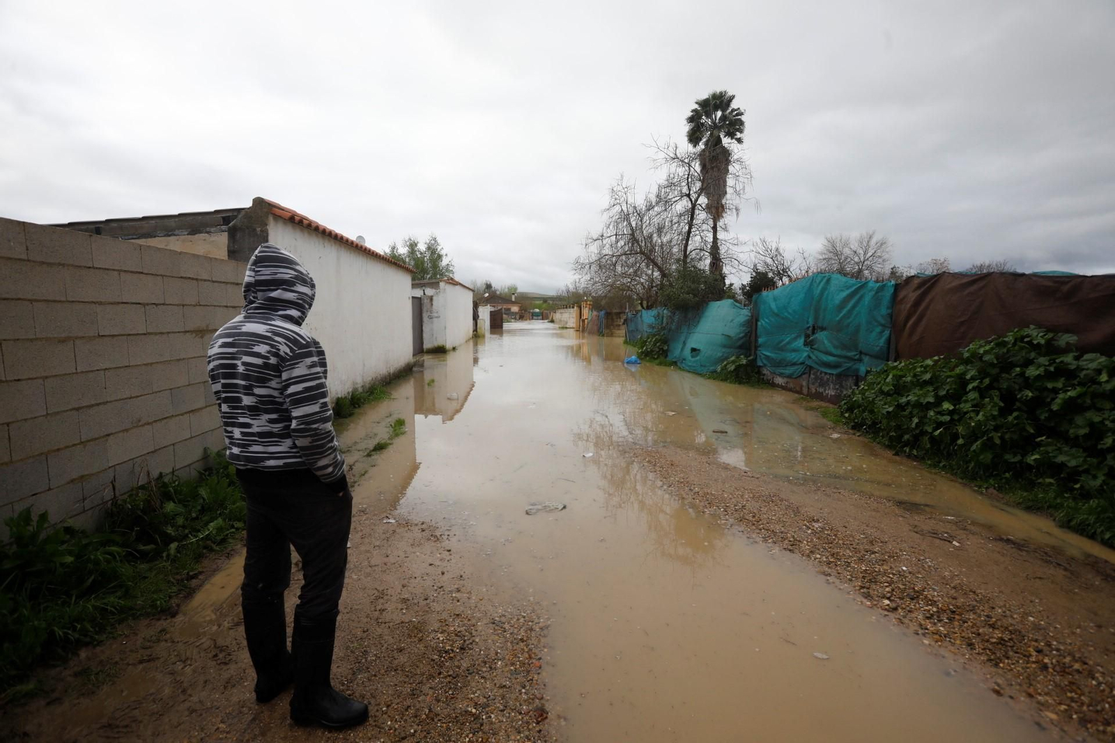 Las imágenes de las parcelaciones inundadas por la crecida del río Guadalquivir