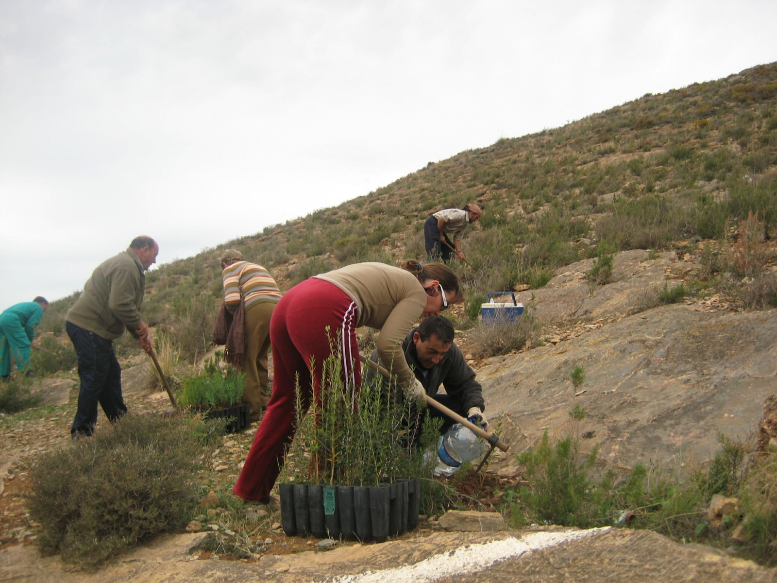 Más verde para los montes
