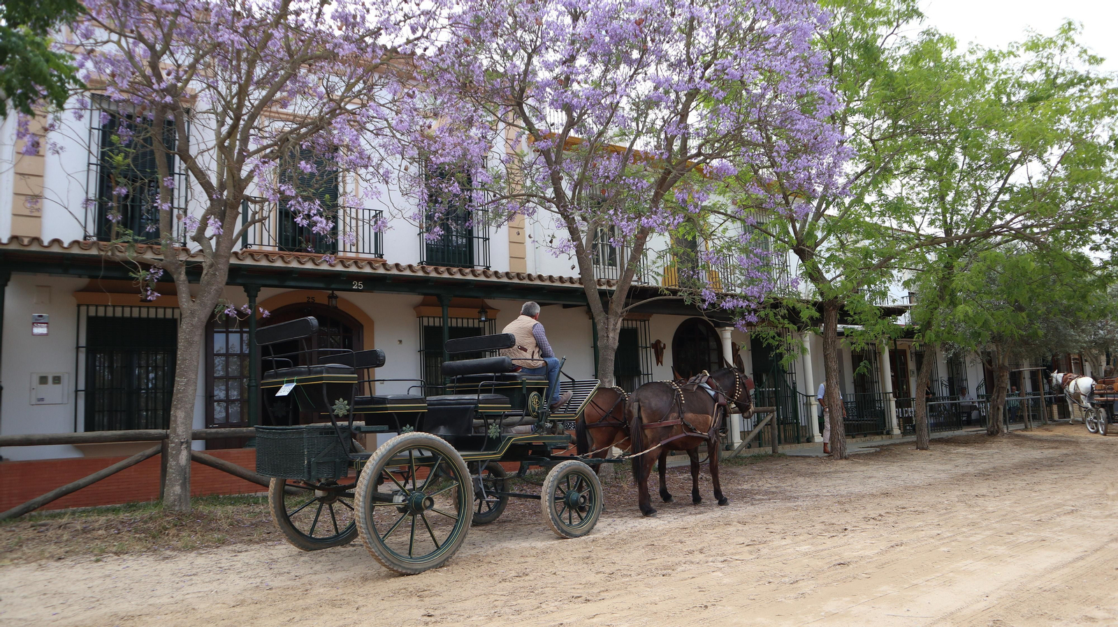 Imágenes del viernes 17 de mayo en EL Rocío