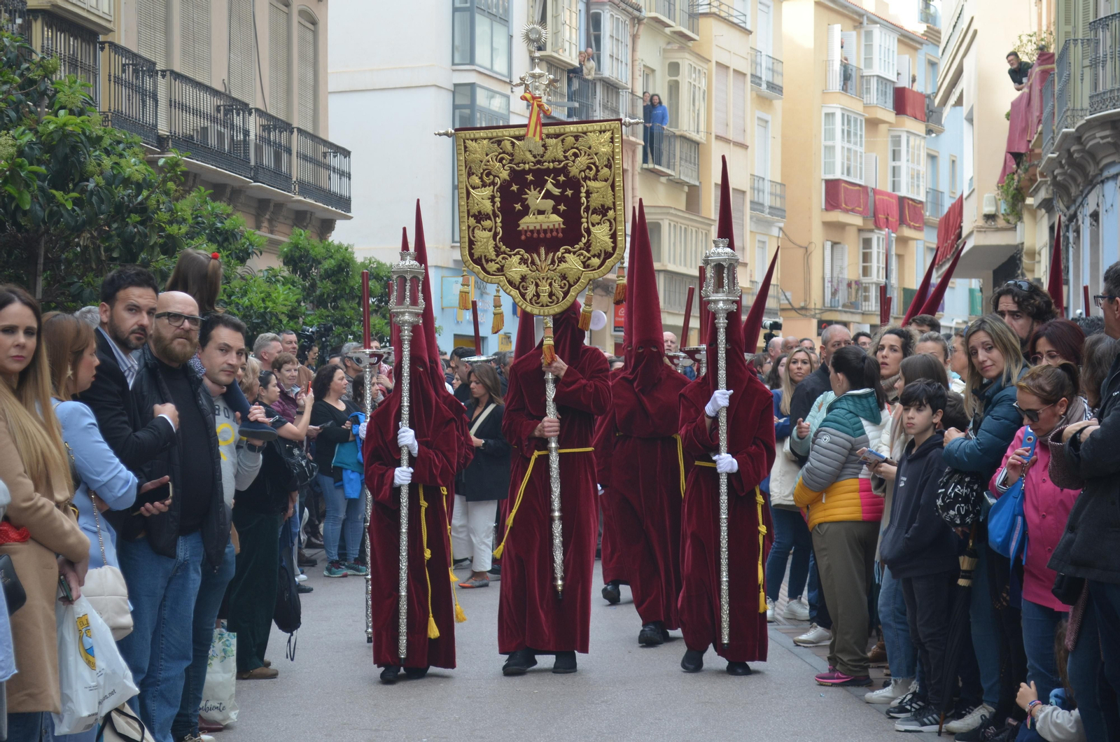 Viñeros en su procesión del Jueves Santo de Málaga, en fotos