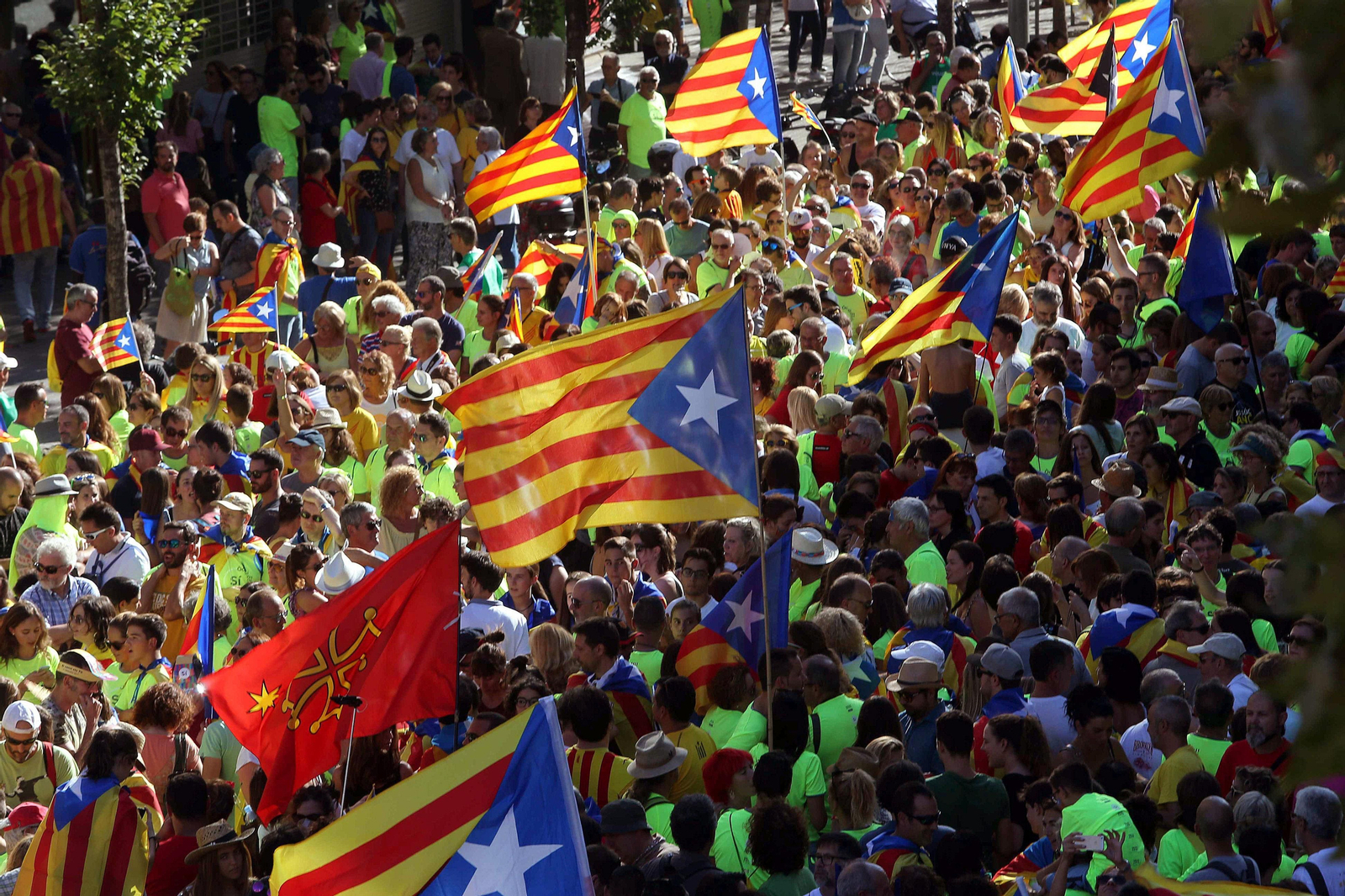 La manifestación independentista de la Diada, en imágenes