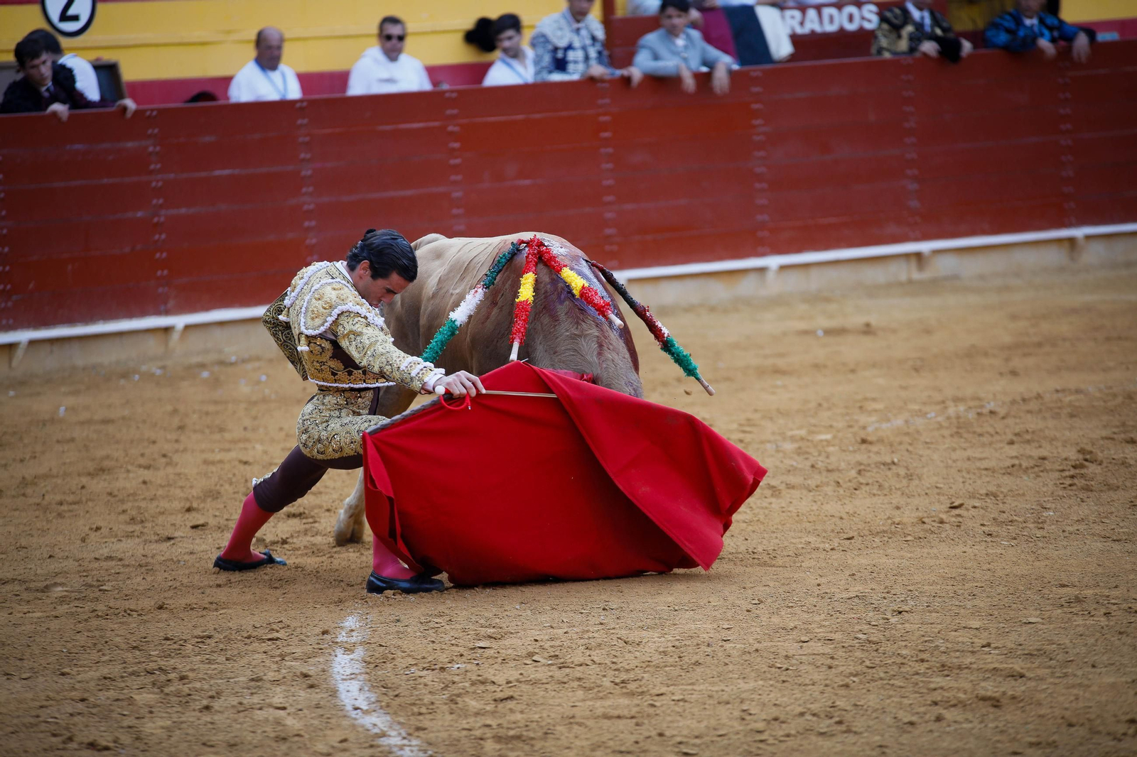 Imágenes de la corrida de toros en Roquetas de Mar