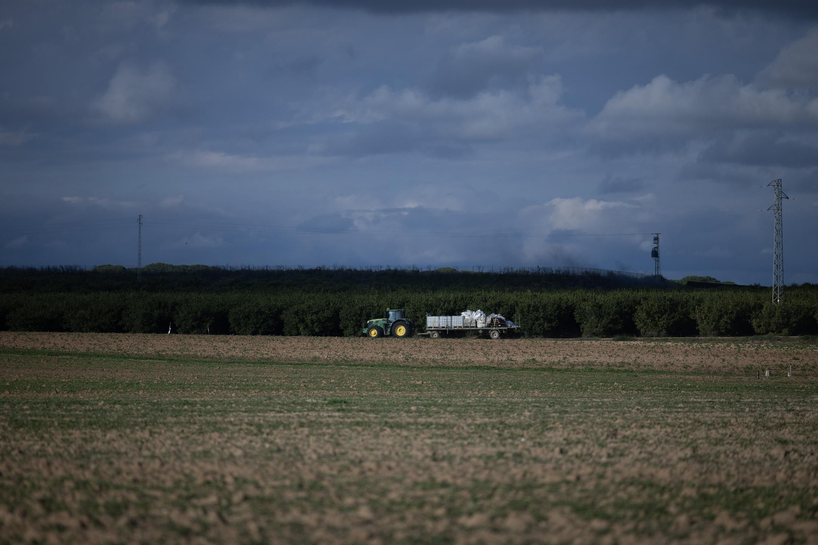 Las fotos de los cultivos en Doñana después del acuerdo sobre la regulación de regadios