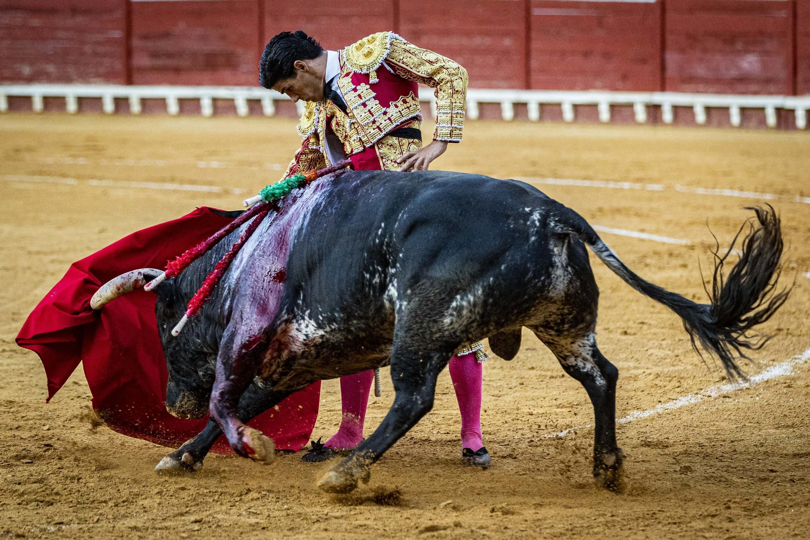toros morente manzanares aguado puerto santa maria 64.jpg