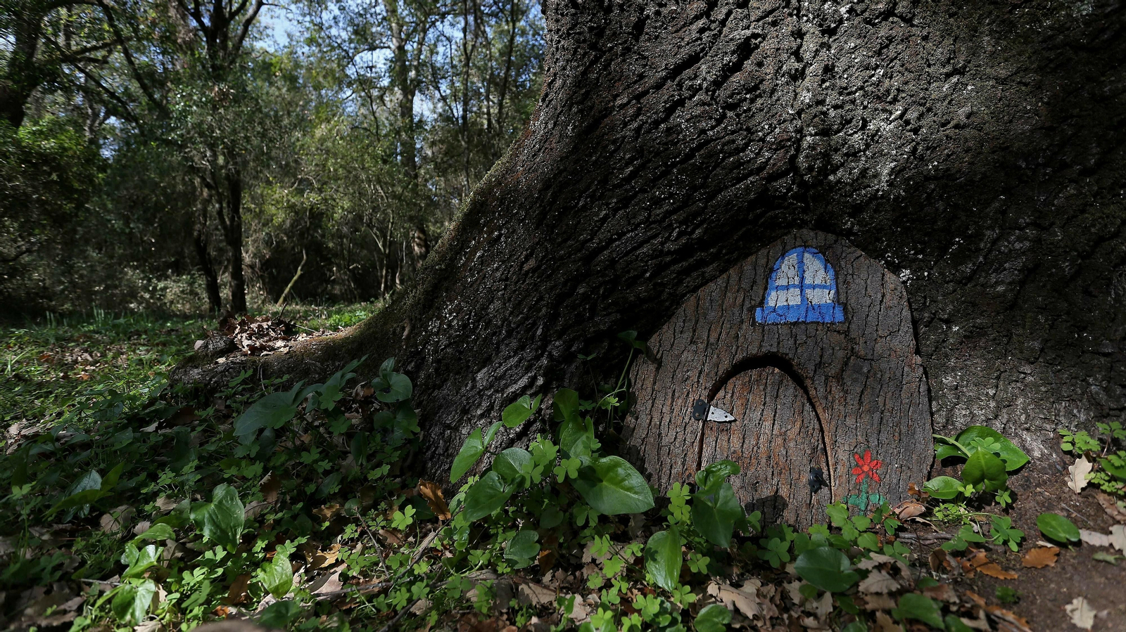 Las mejores fotos de la finca La Almoraima