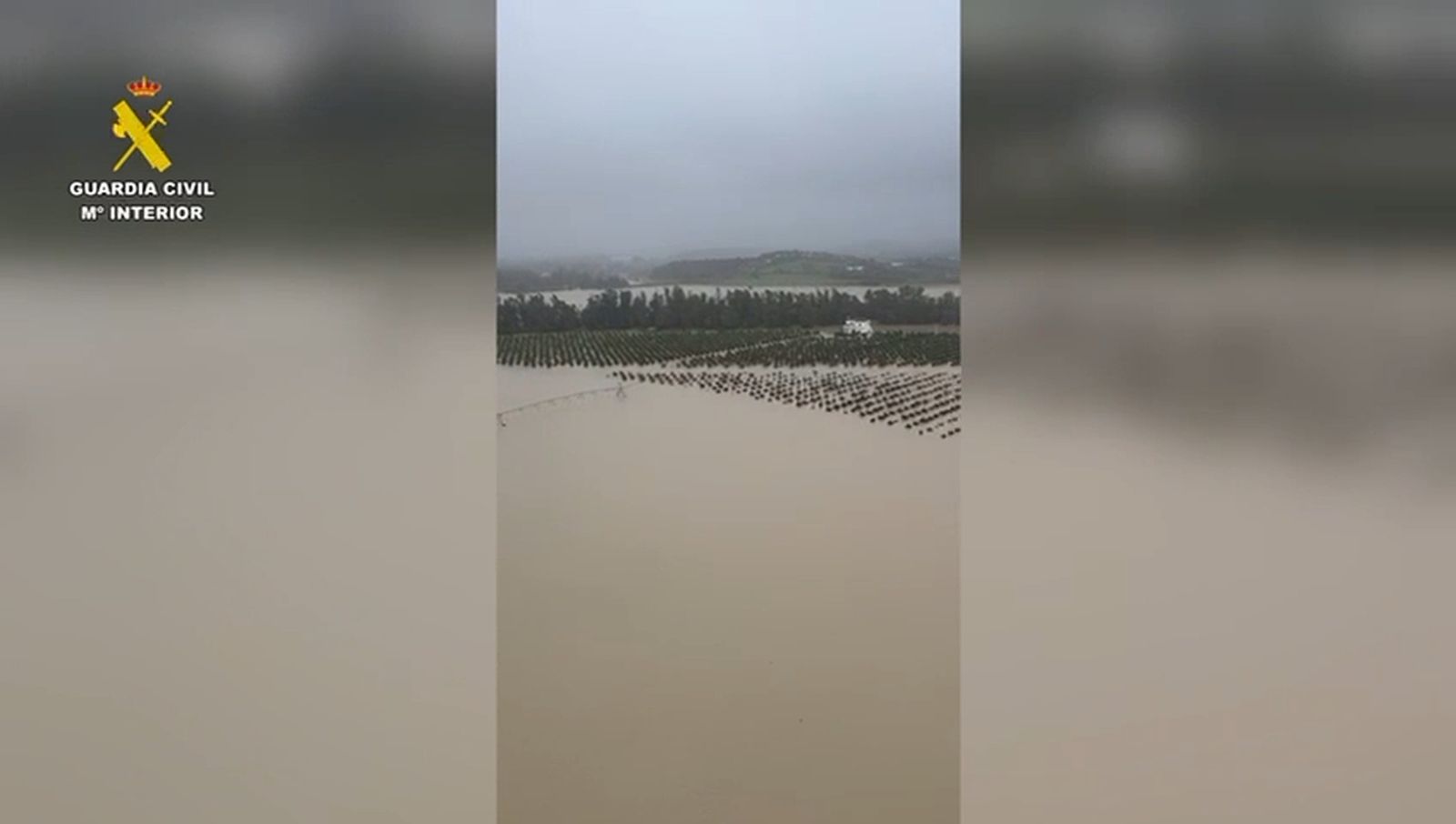 Imágenes aéreas con la zona rural de Jerez inundada tras el desbordamiento del río Guadalete
