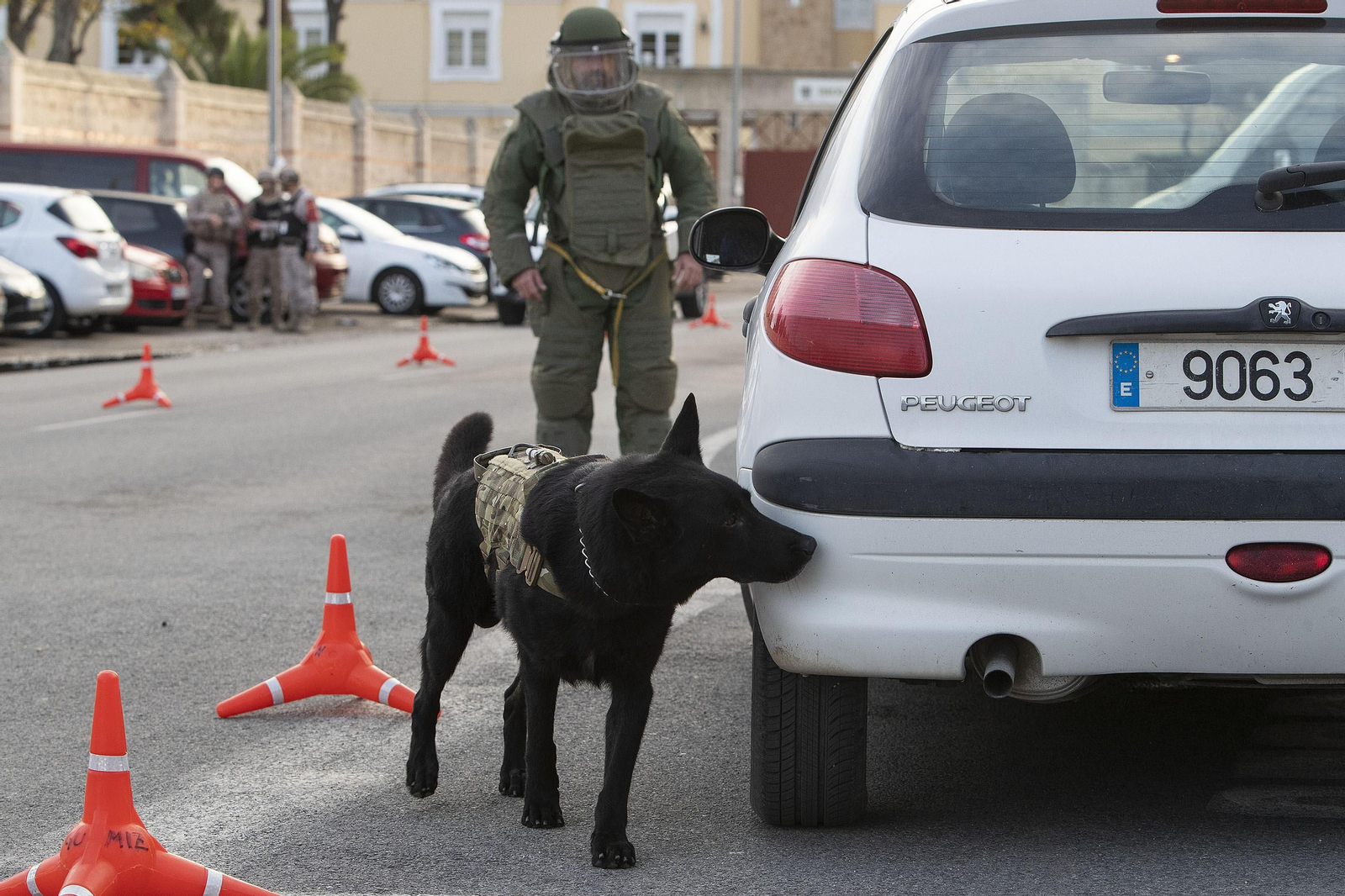 Ejercicios de la Fuerza de Protección de la Armada en San Fernando