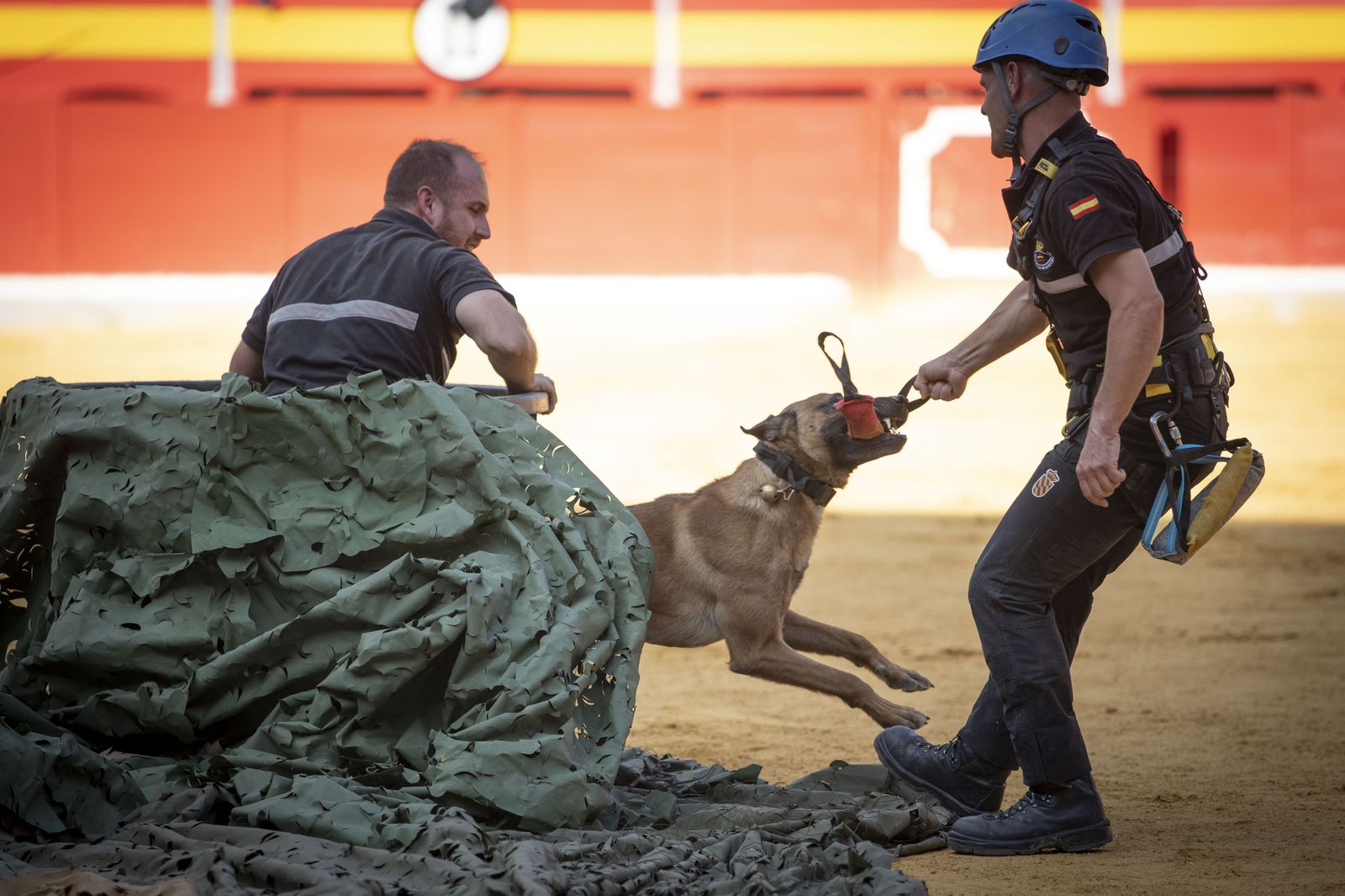 La exhibición del Ejército en la Plaza de Toros de Granada, en imágenes