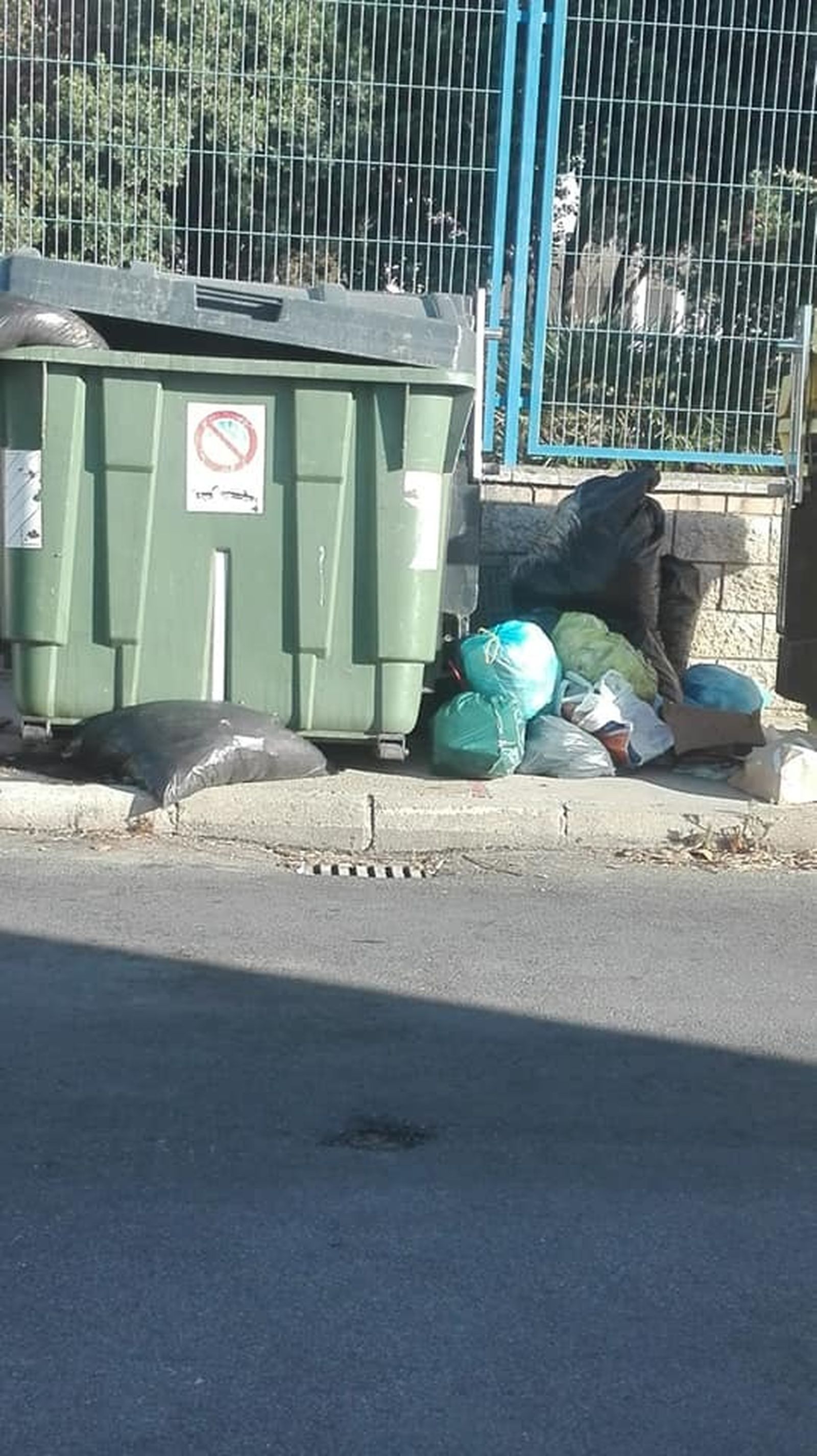 Bolsas de basura fuera de un contenedor en La Barca.