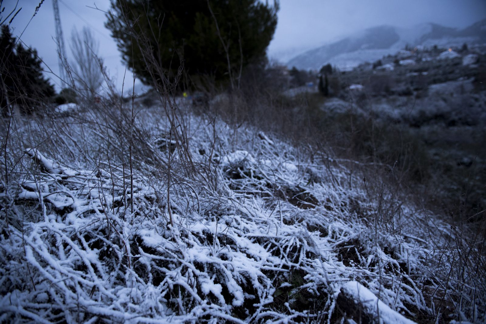 Imágenes de las carreteras cortadas en Granada por la borrasca Gloria