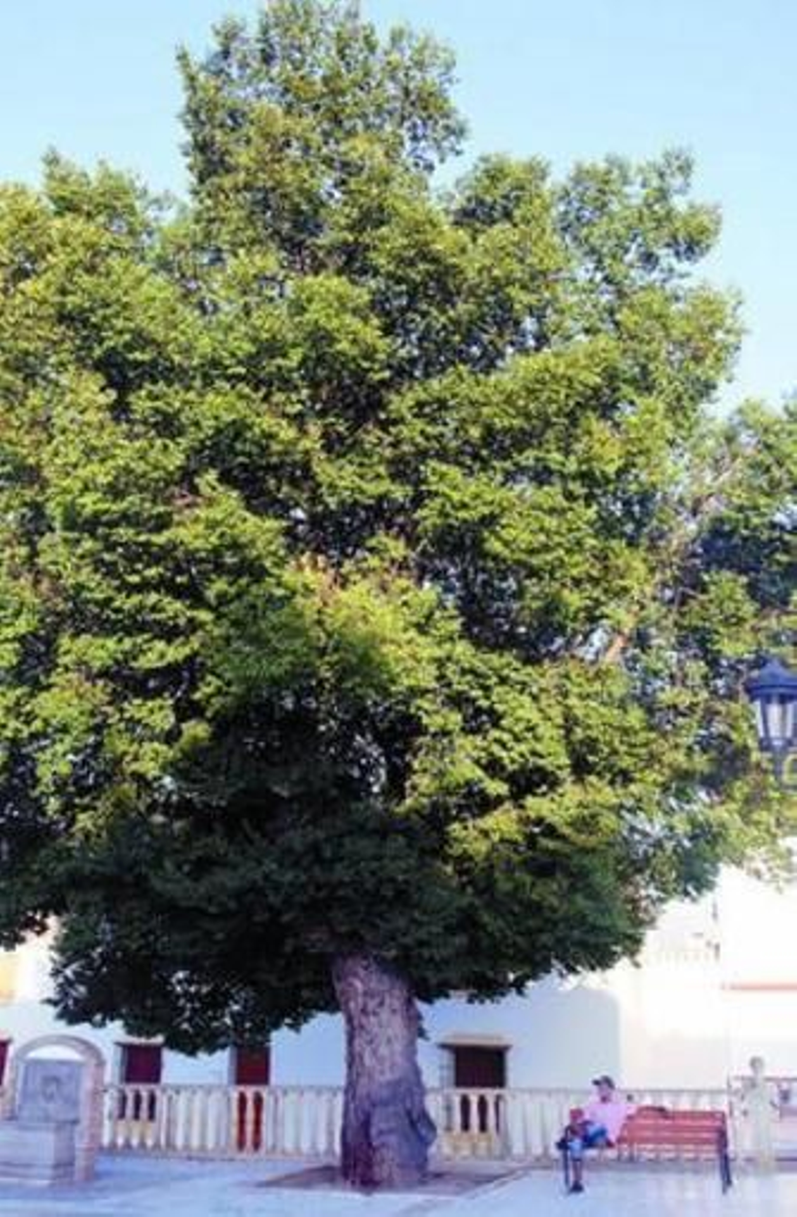 La proximidad a la Sierra suaviza las temperaturas veraniegas.