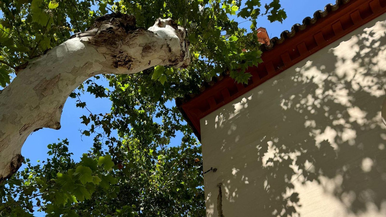 Uno de los destrozos en la fachada de la parroquia de la Magdalena