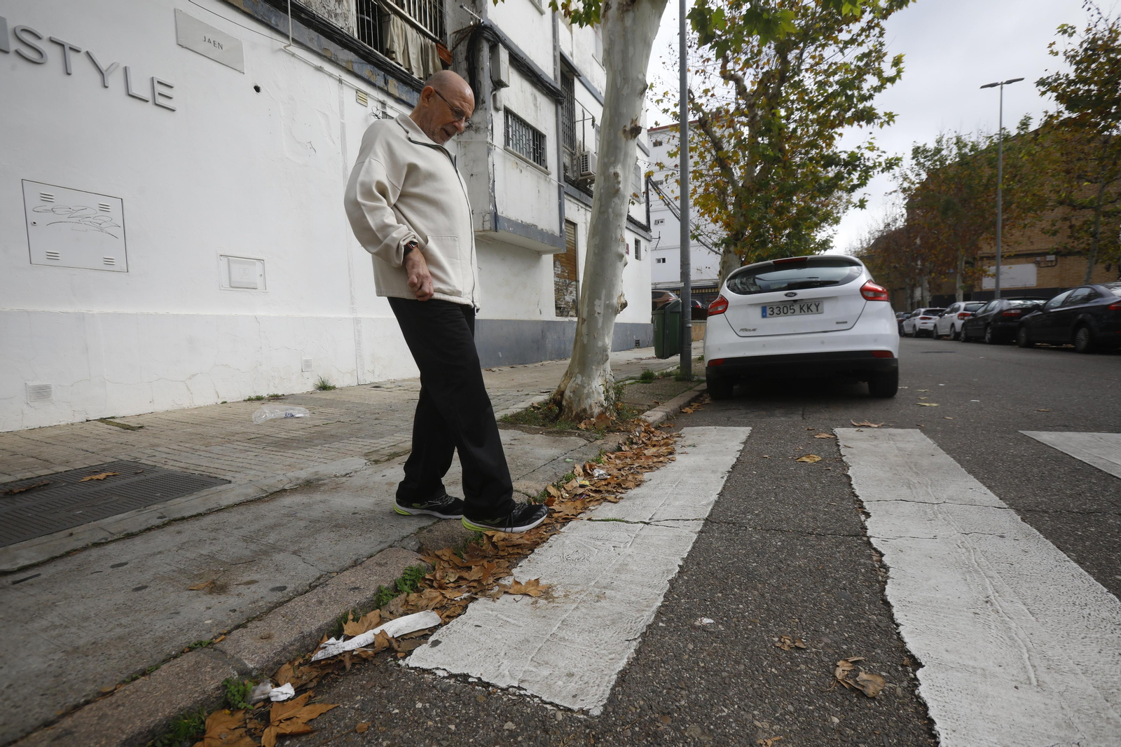 Imágenes de algunos de los pasos de peatones de Córdoba en los que se mejorará la accesibilidad