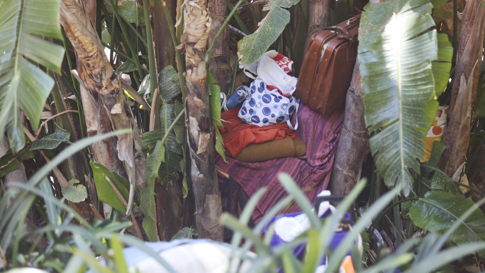 Árbol de Parque de Málaga en el que varios indigentes guardan 'sus cosas'.