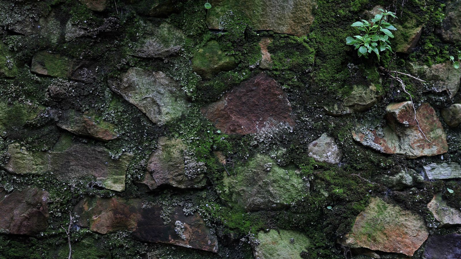 Las mejores fotos del sendero del Río de la Miel