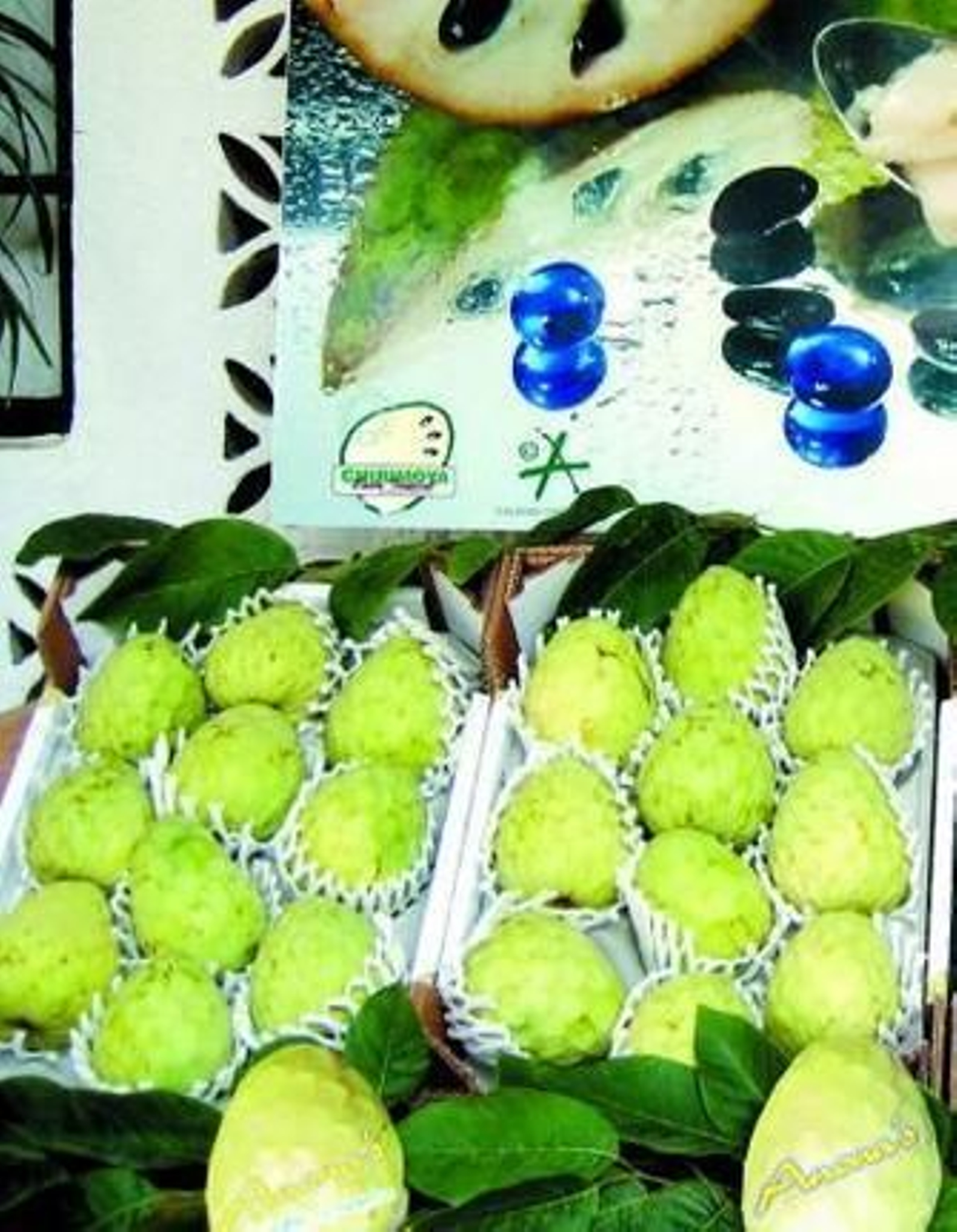 Granada concentra la mayor parte de la producción.