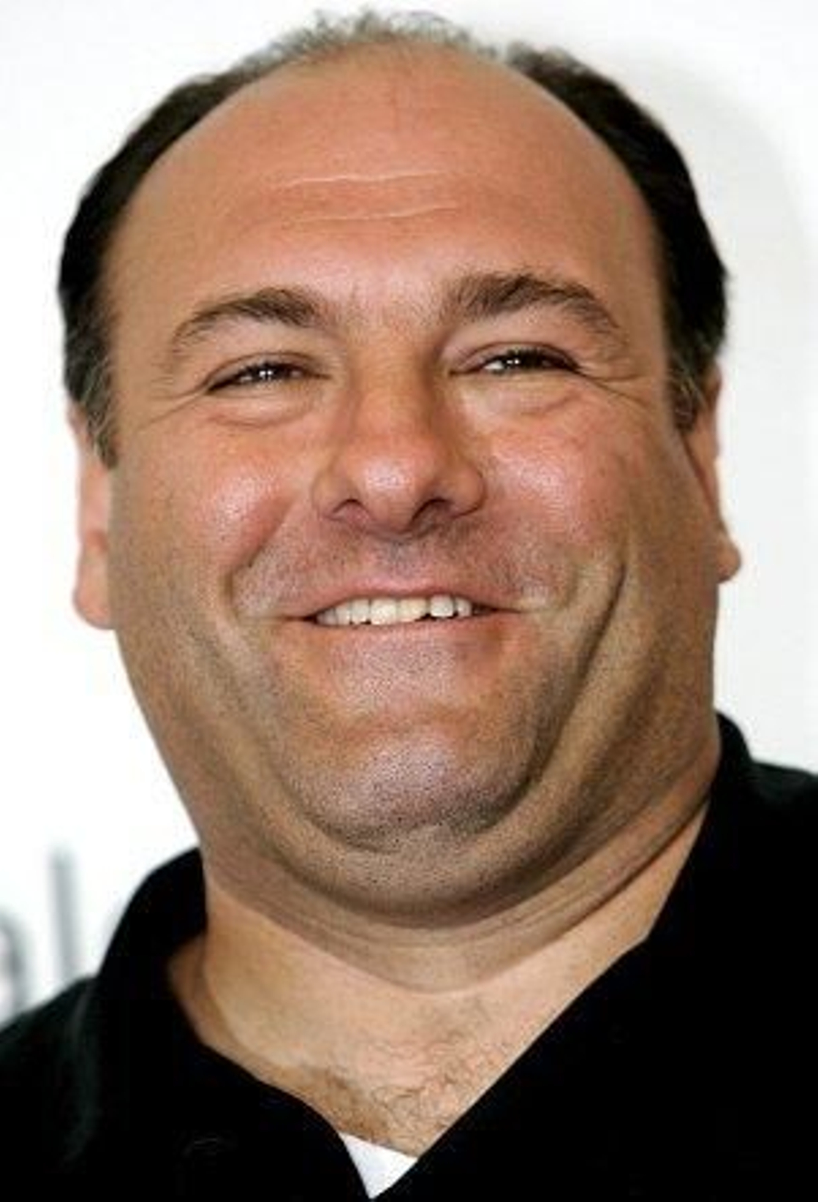 Adiós a Tony Soprano