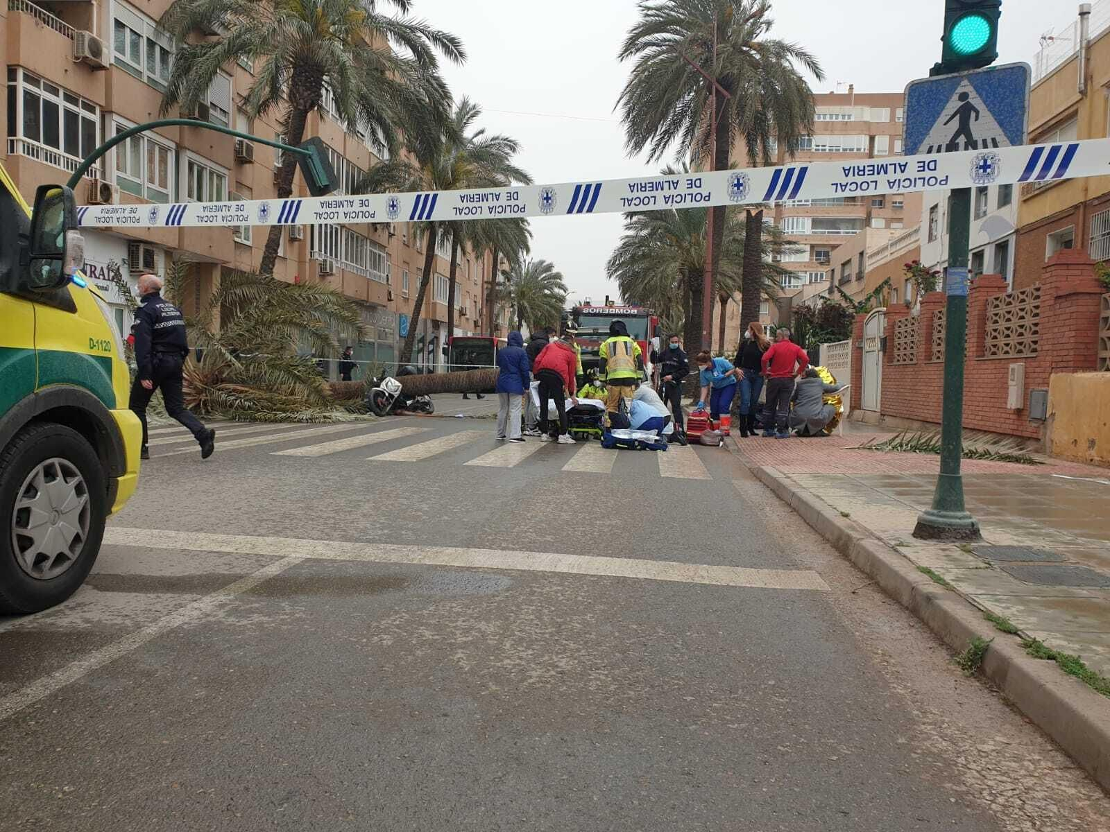 Una palmera causa un brutal accidente en Almería
