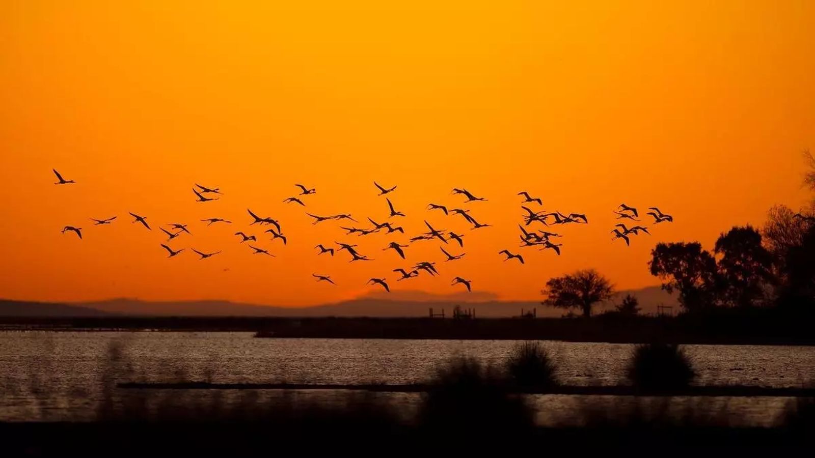 Vista del Parque Natural de Doñana