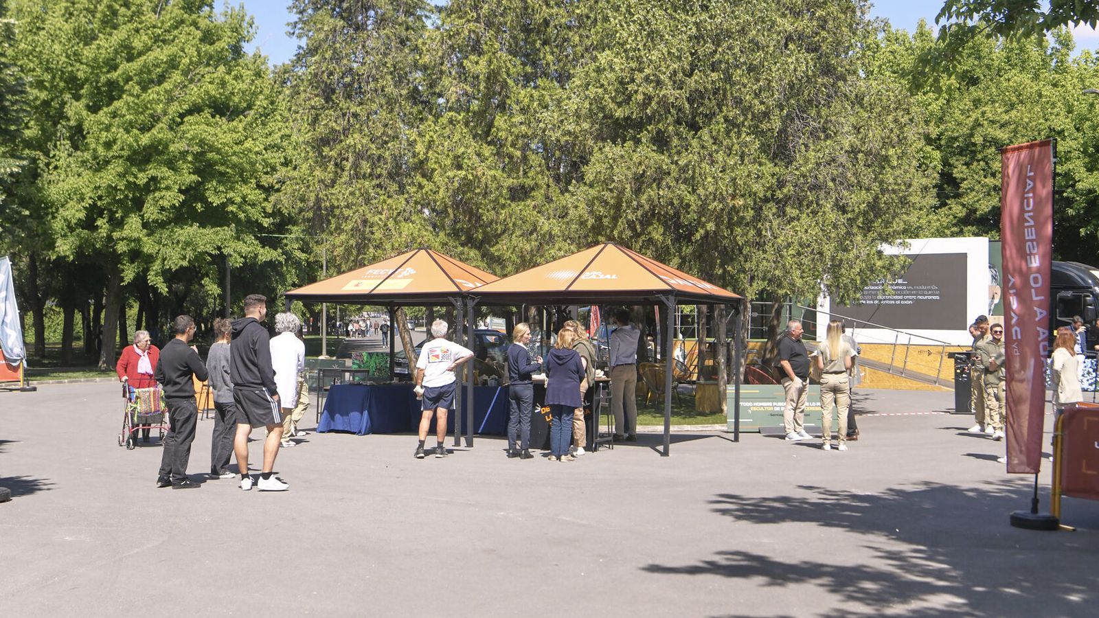 Tour Universitario Cajal, Una Mirada a lo Esencial en Granada