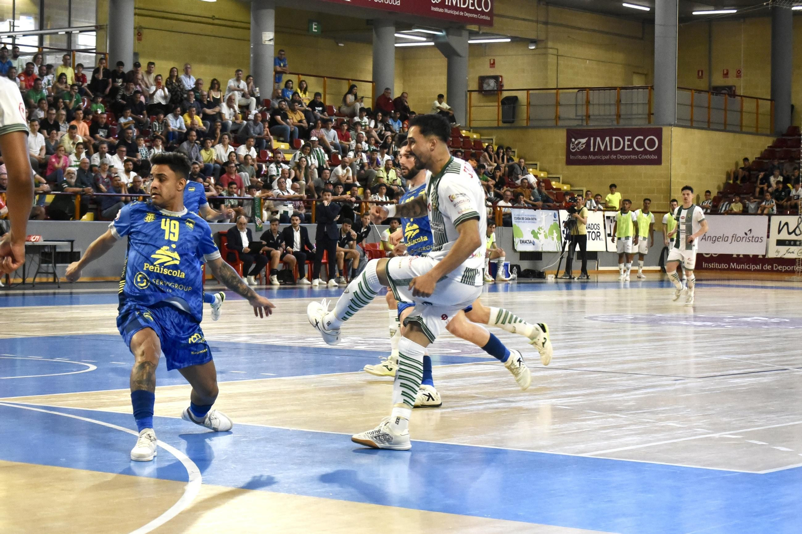 Las mejores fotos del ambiente en Vista Alegre para el Córdoba Futsal - Peñíscola