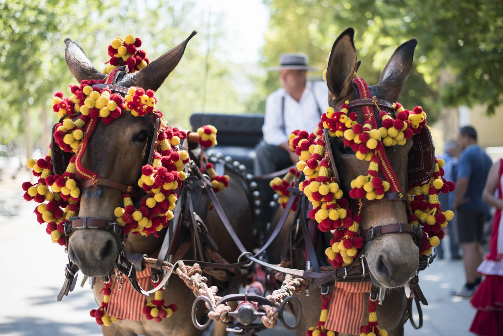 Concurso de enganches