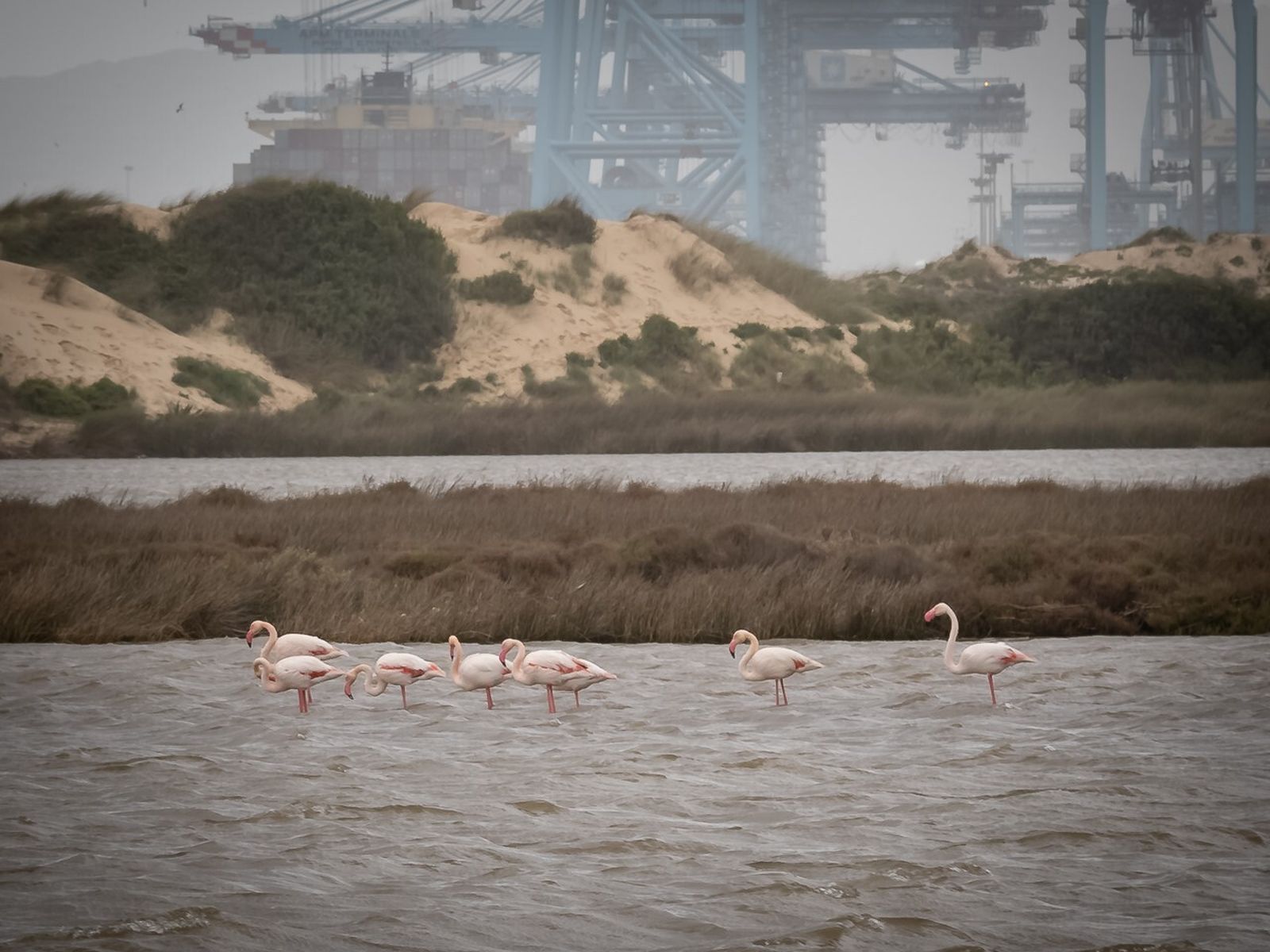 Una de las valiosas imágenes de esta publicación