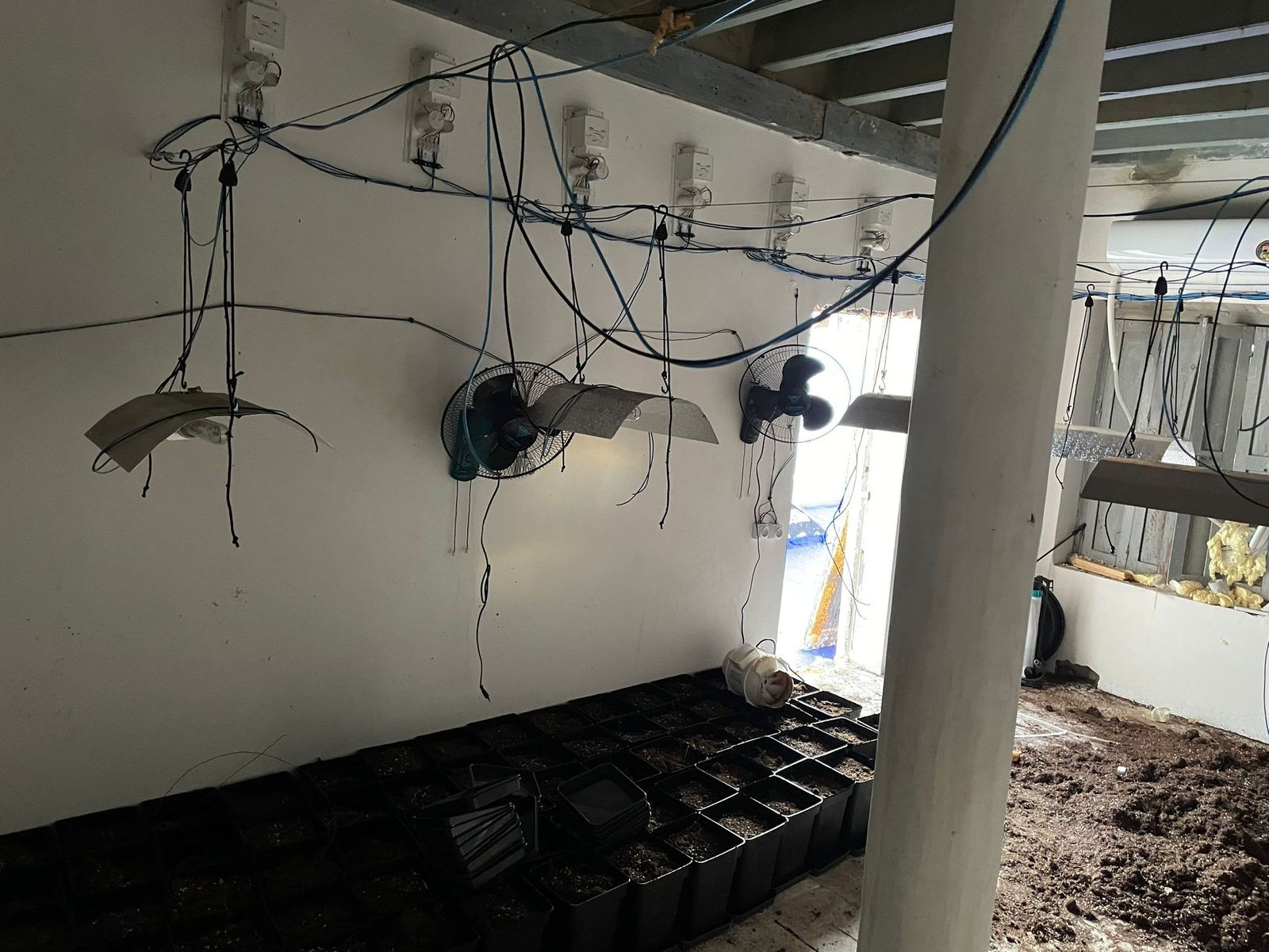 Plantación indoor de marihuana detectada en una operación policial en San Fernando.