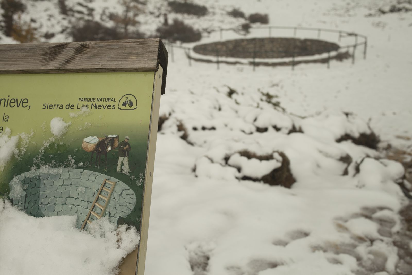 Primeras estampas de invierno en la Sierra de las Nieves