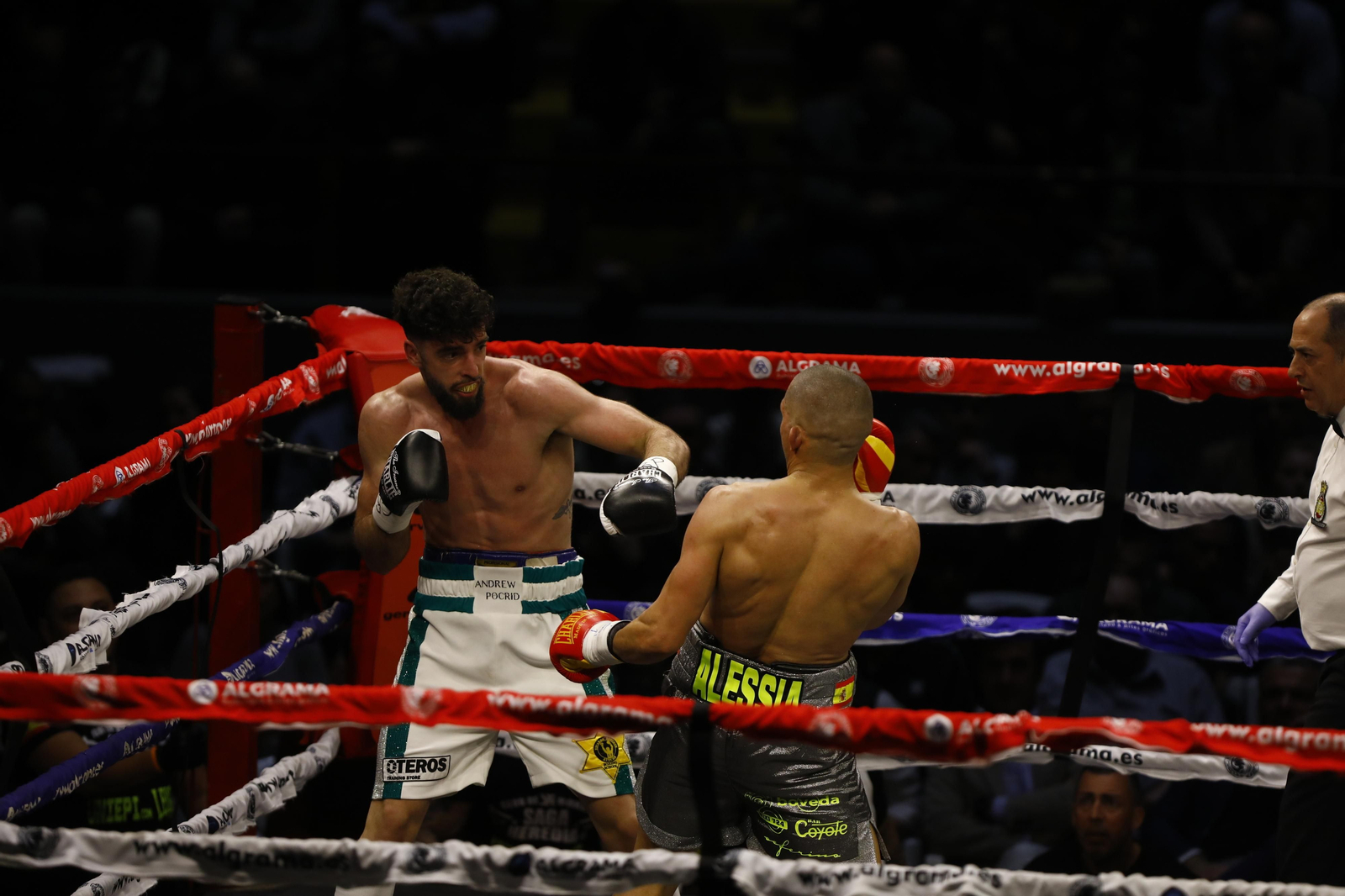 Las imágenes del combate entre José Luis Navarro Jr y Ronny Landaeta en Córdoba