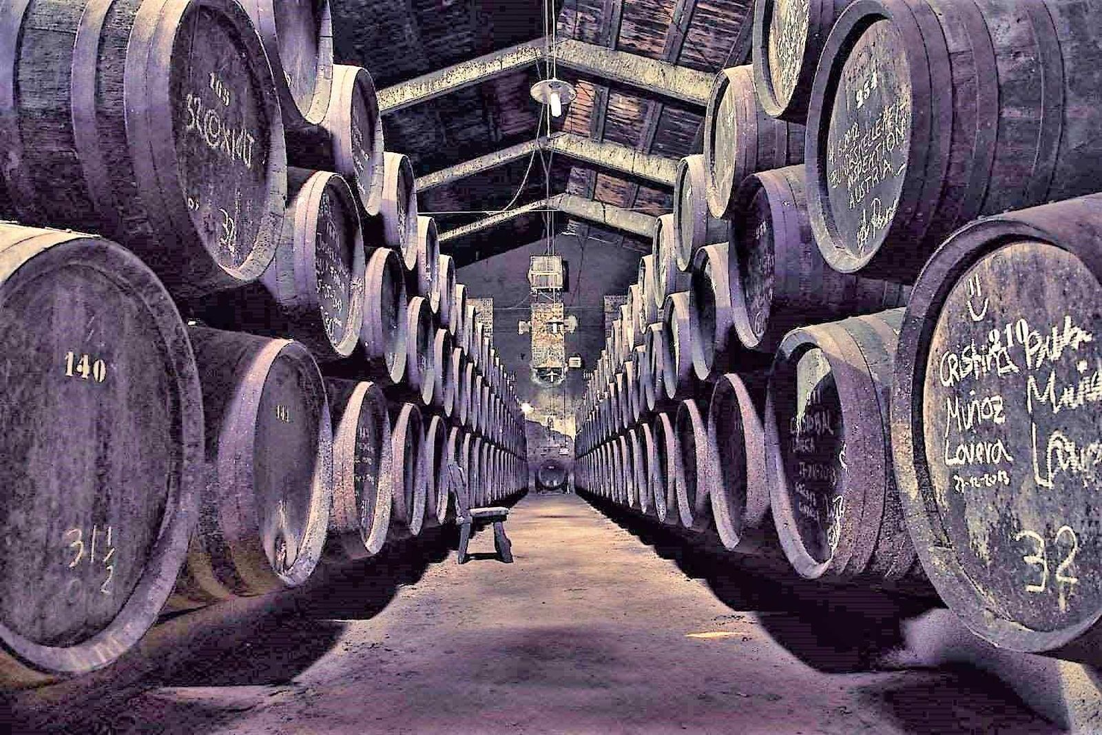 Bodegas Toro Albalá, en Aguilar de la Frontera (Córdoba)