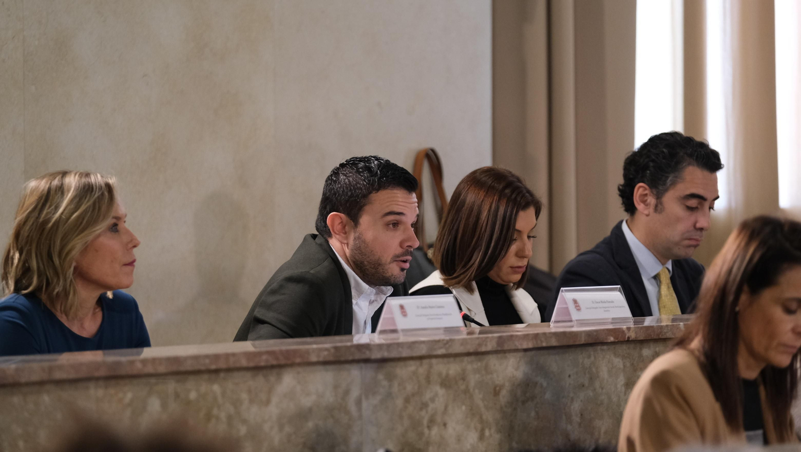 Imágenes del Pleno del Ayuntamiento de Almería