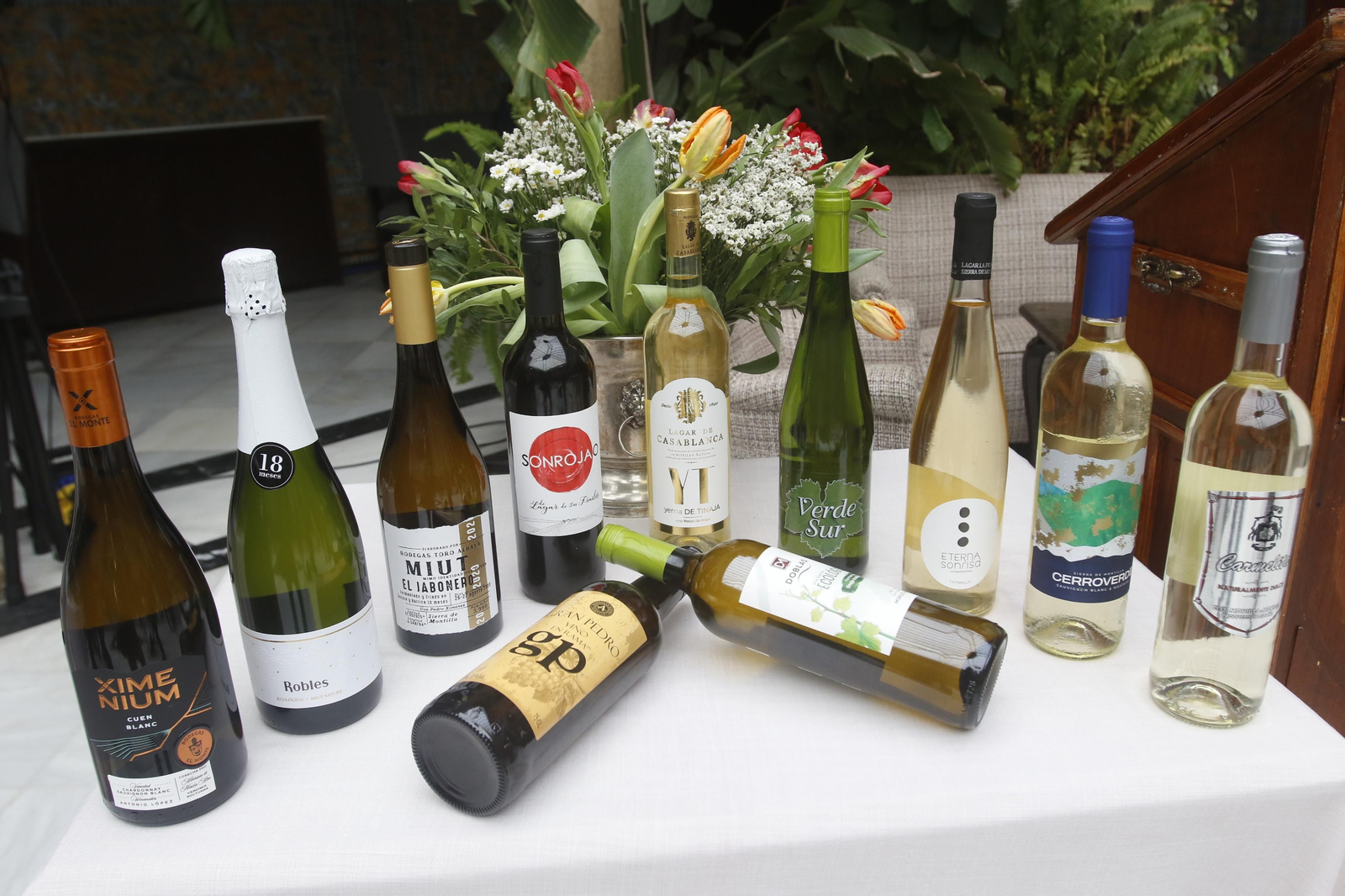 11 vinos nuevos de Moriles y Montilla que ya puedes catar