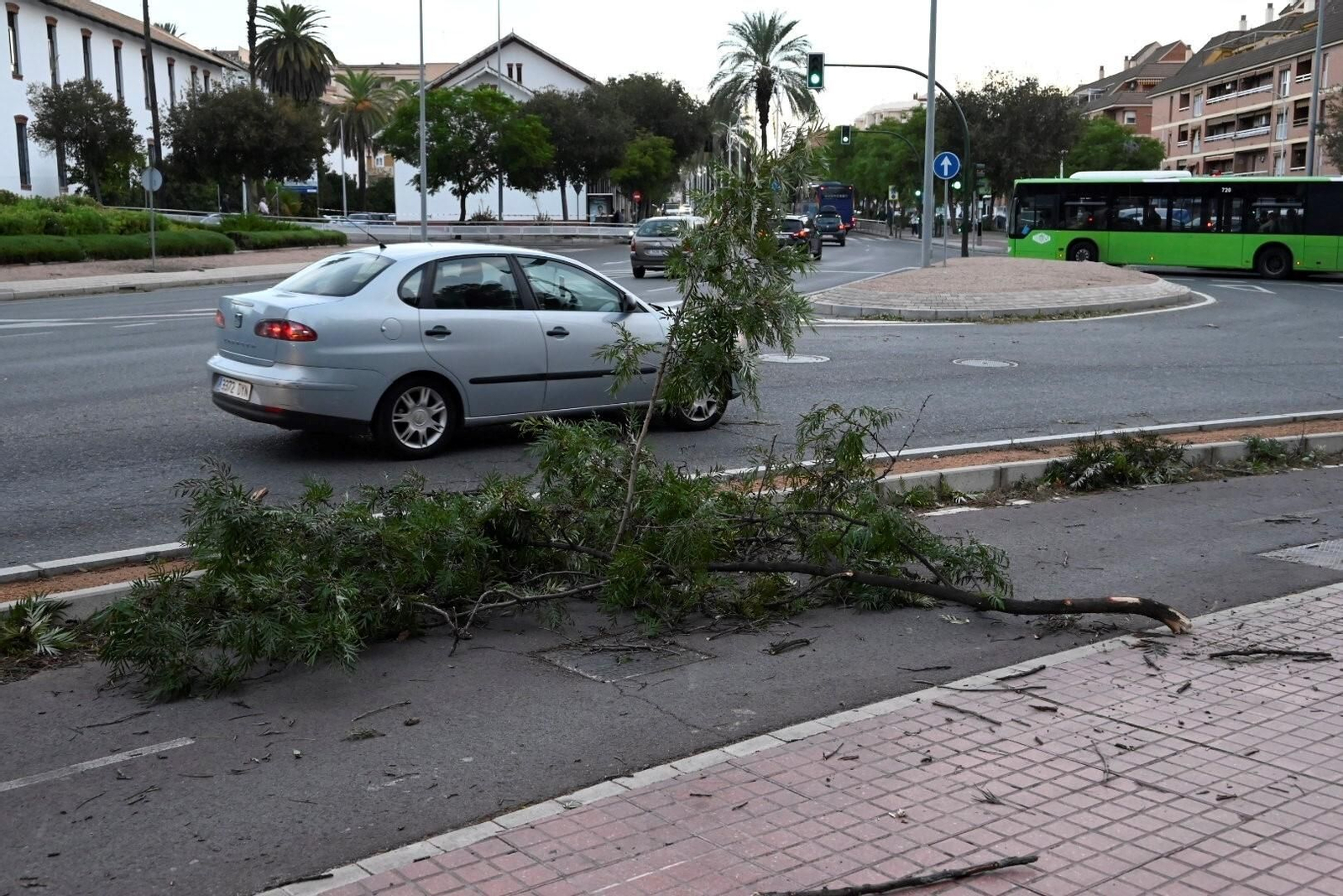 Los daños causados por la borrasca Bernard en Córdoba, en imágenes
