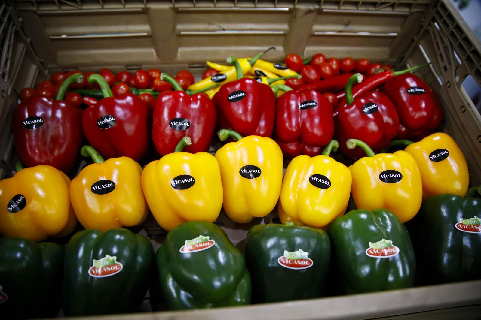 Imágenes de la inauguración de Vestial 20205 en el Palacio del Toyo