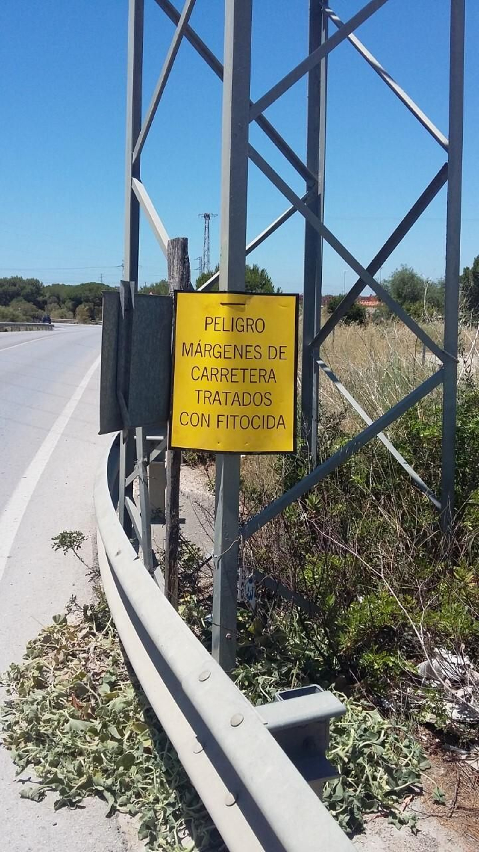 Tratamiento con fitocida en una carretera junto al Hospital de Puerto Real.