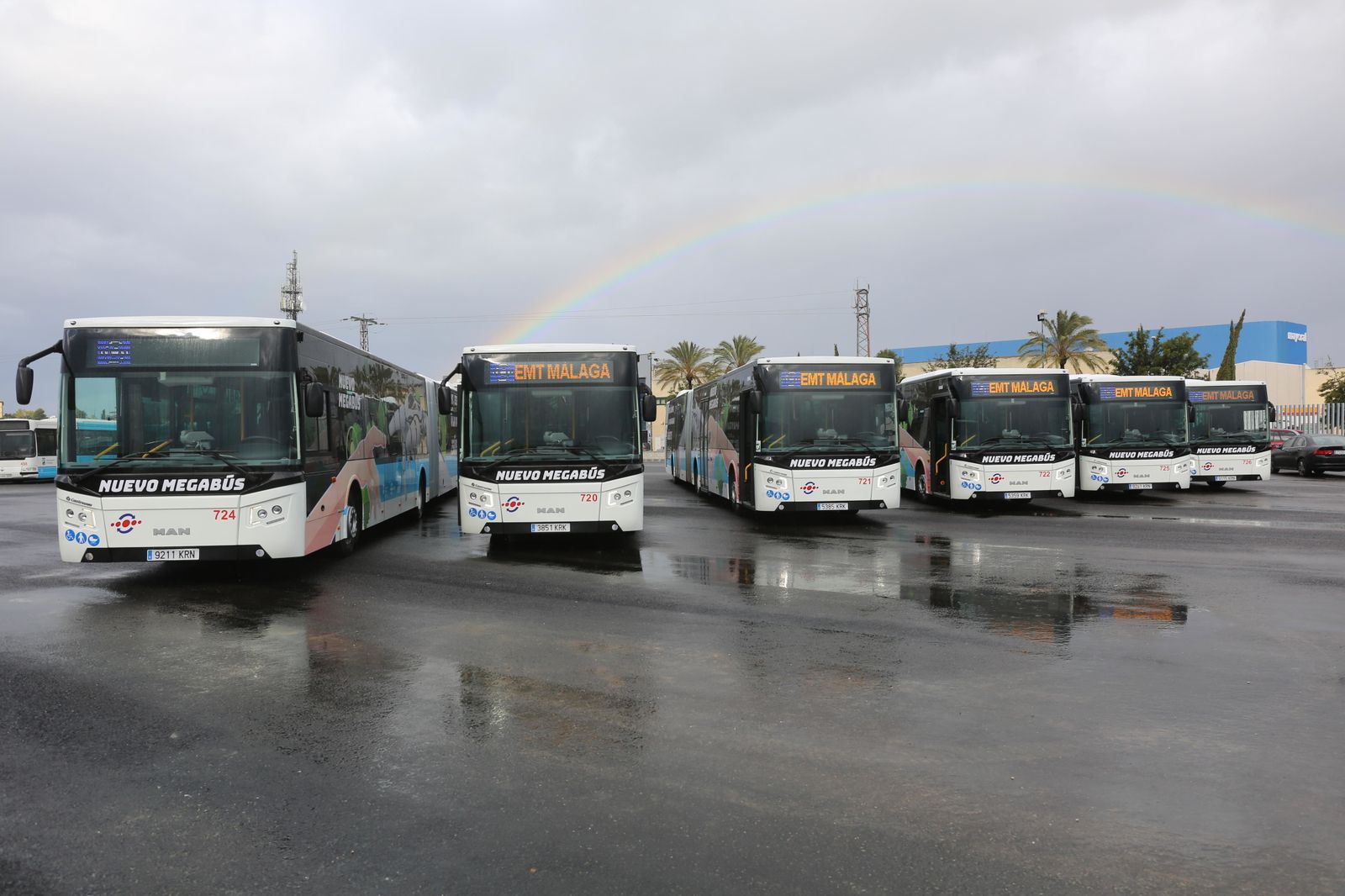 Imagen de los nuevos vehículos incorporados a la flota de la EMT.