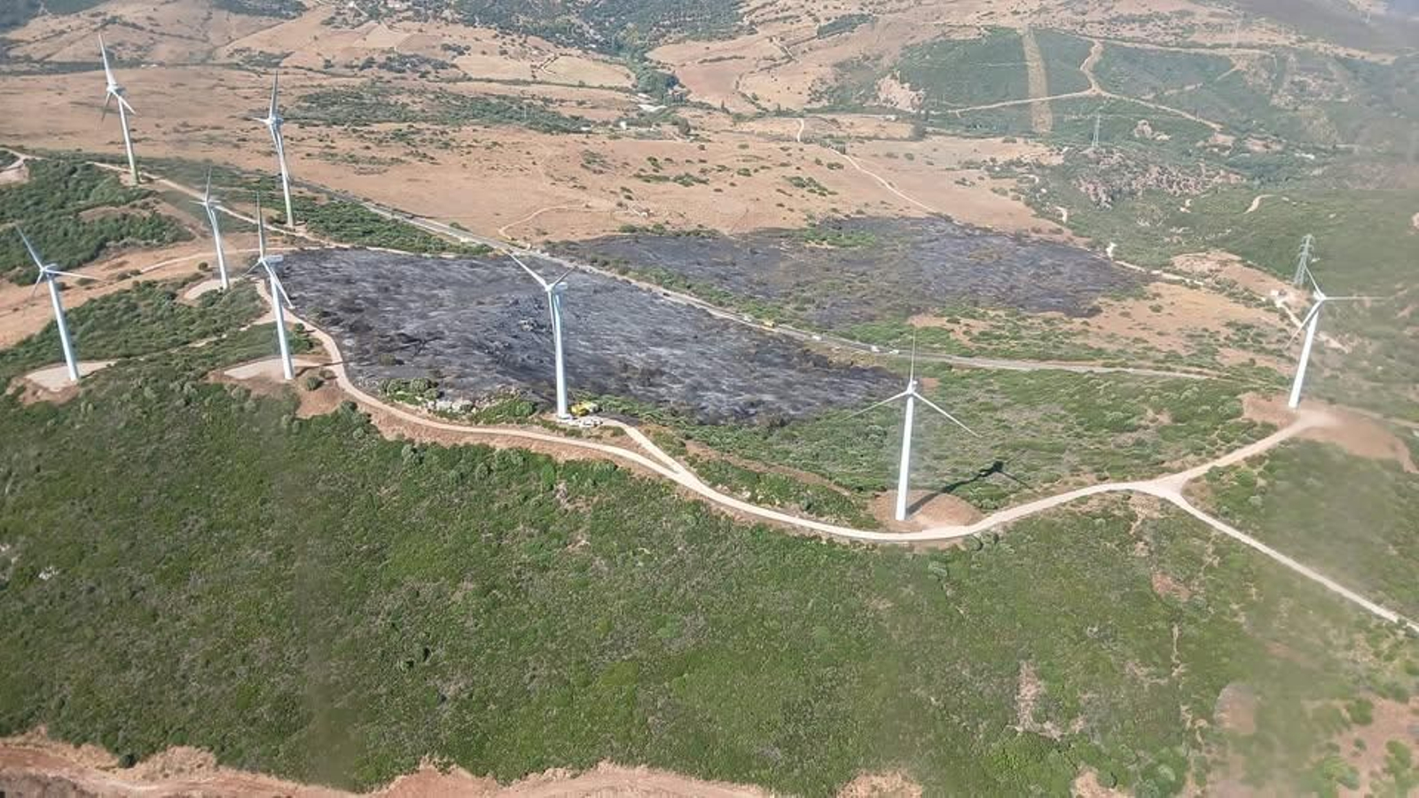 La zona afectada por el incendio forestal.