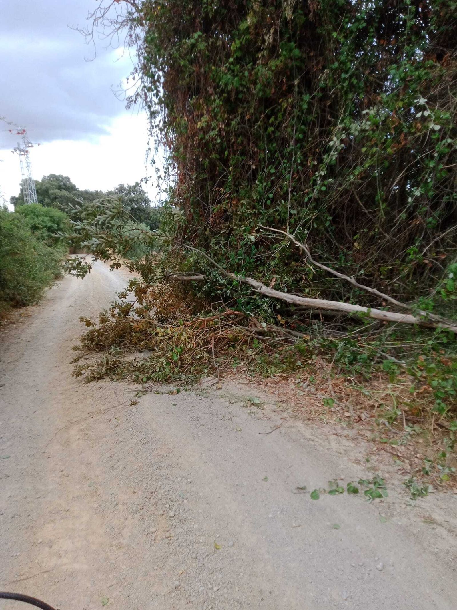 Inundaciones en Setenil