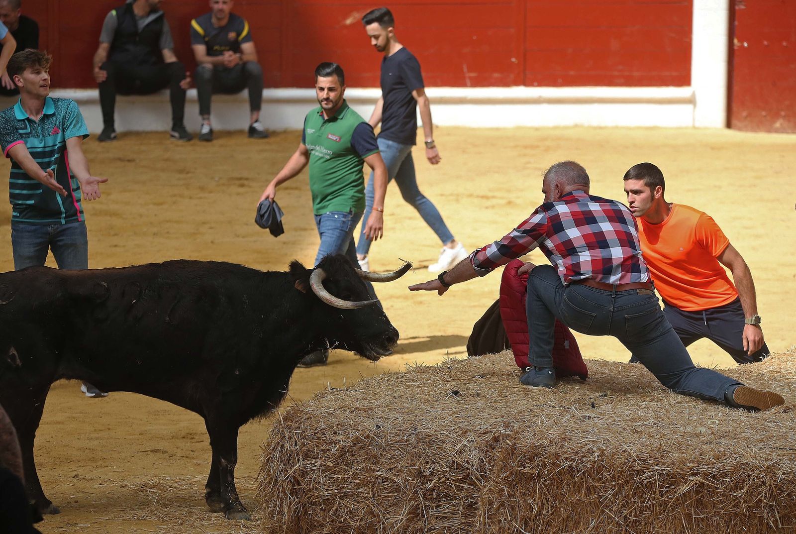 Fotos del Toro Embolao en Los Barrios