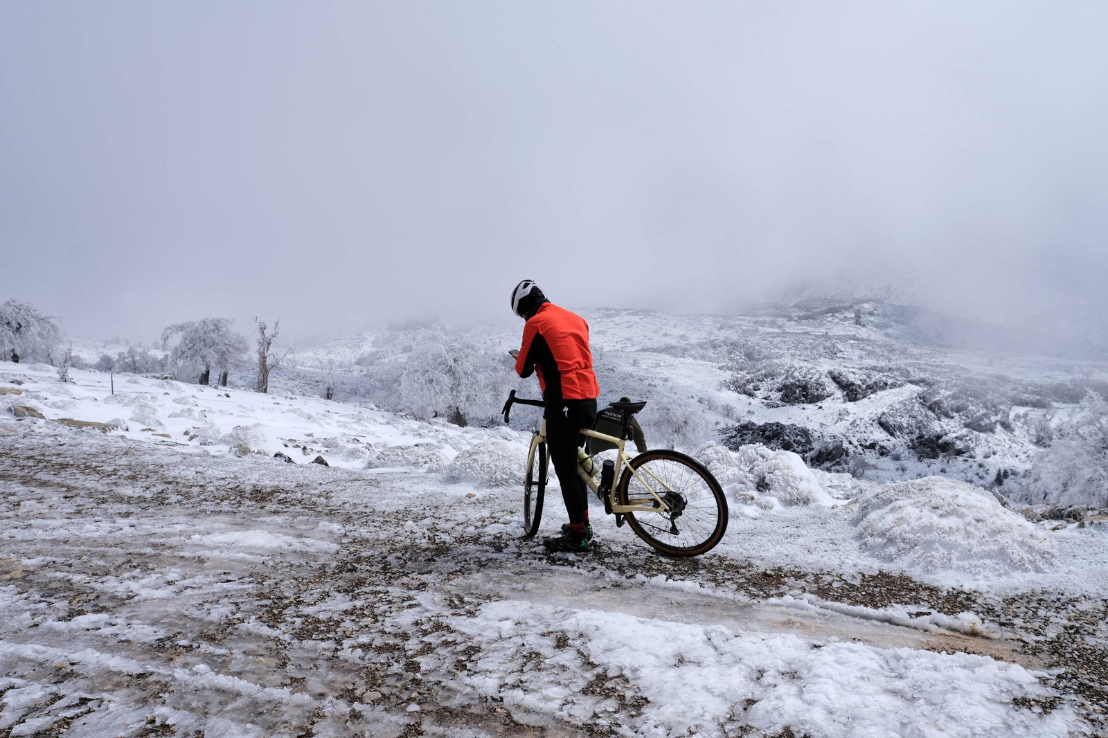 La nevada en la Sierra de las Nieves, en fotos.